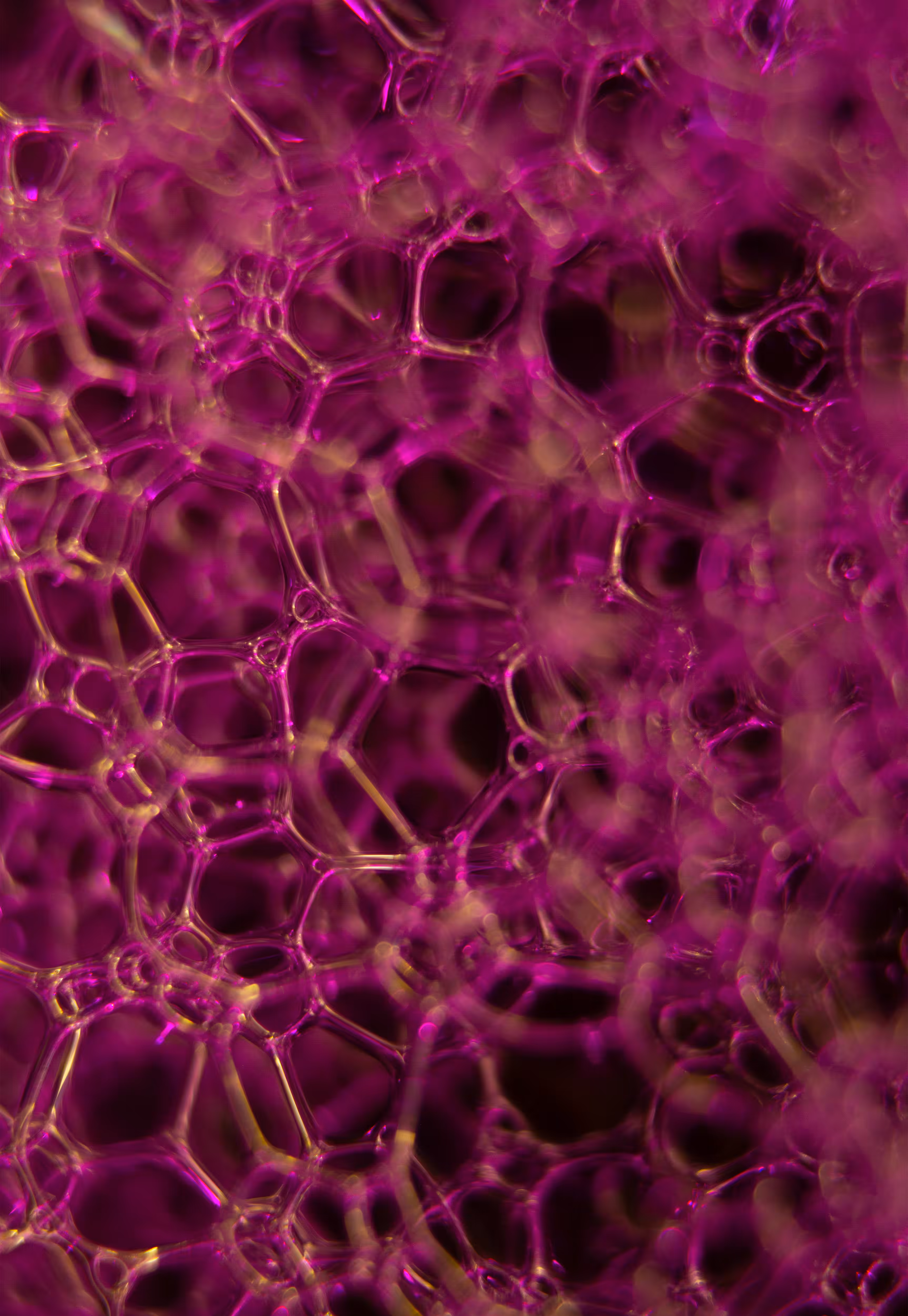 #223 Bubbles