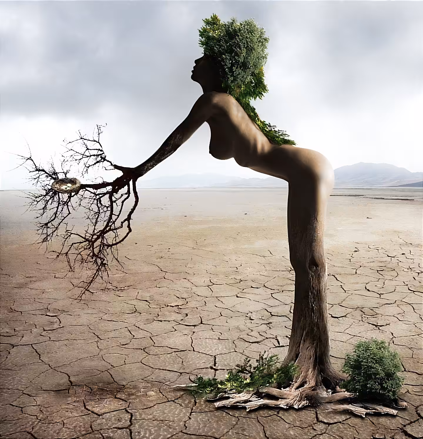 Dry planet nature