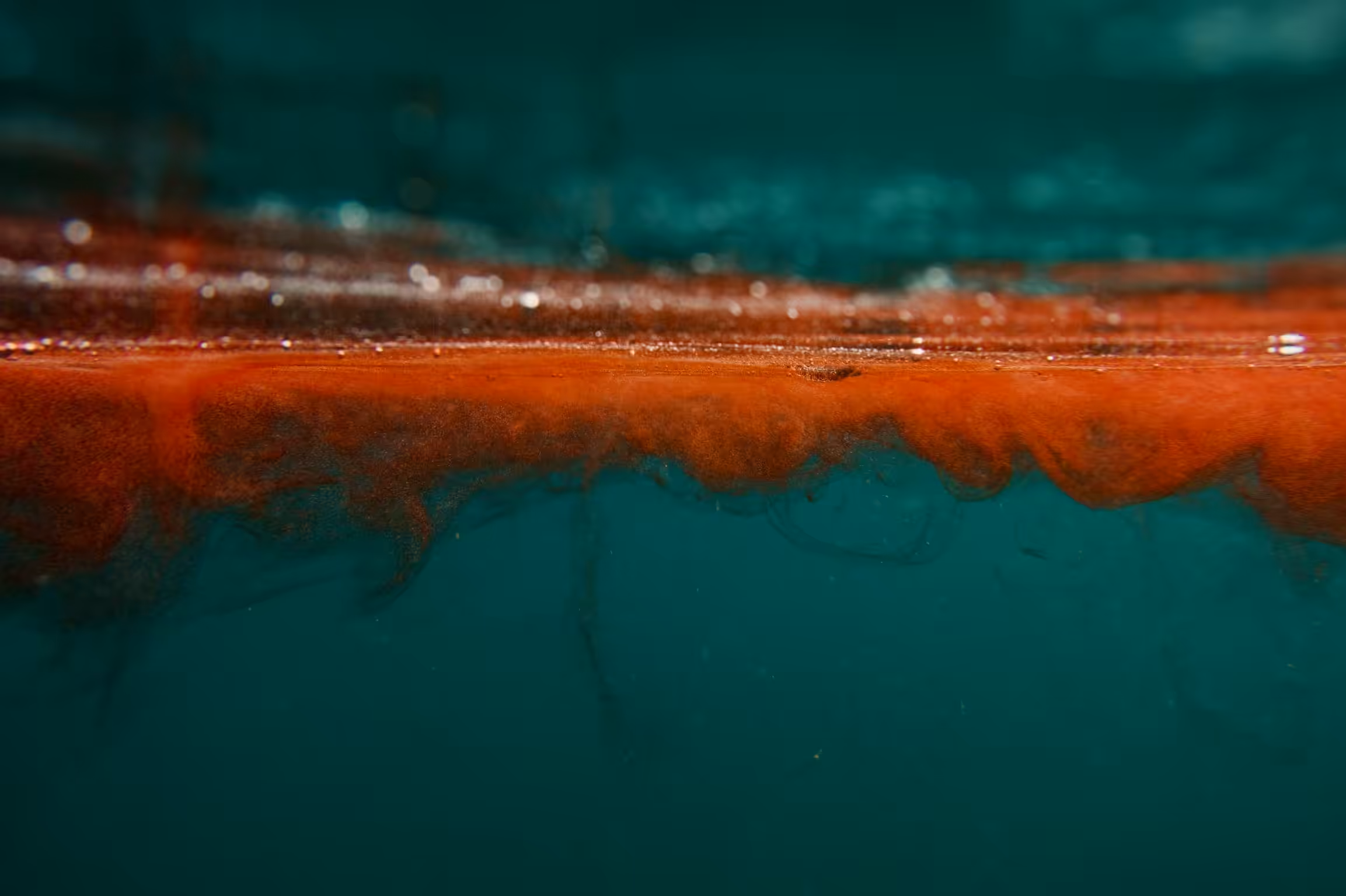 Red Sea 04