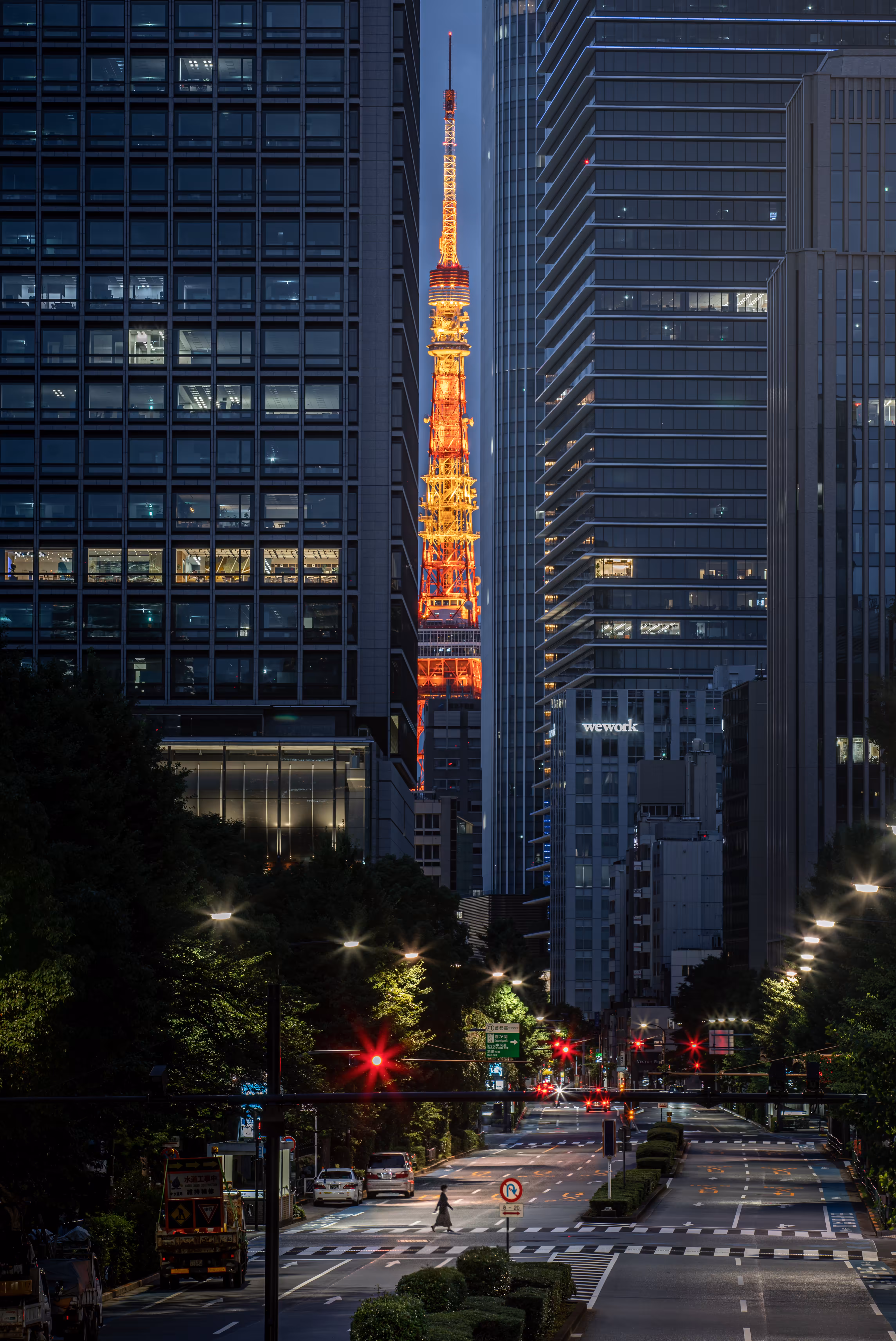 Tokyo Crossing