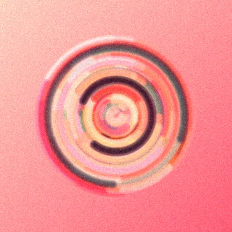 Wisp #21