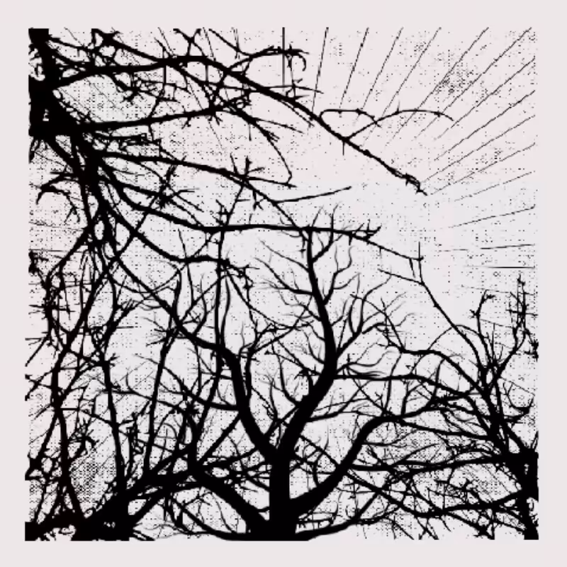 Forest of Shadows #9