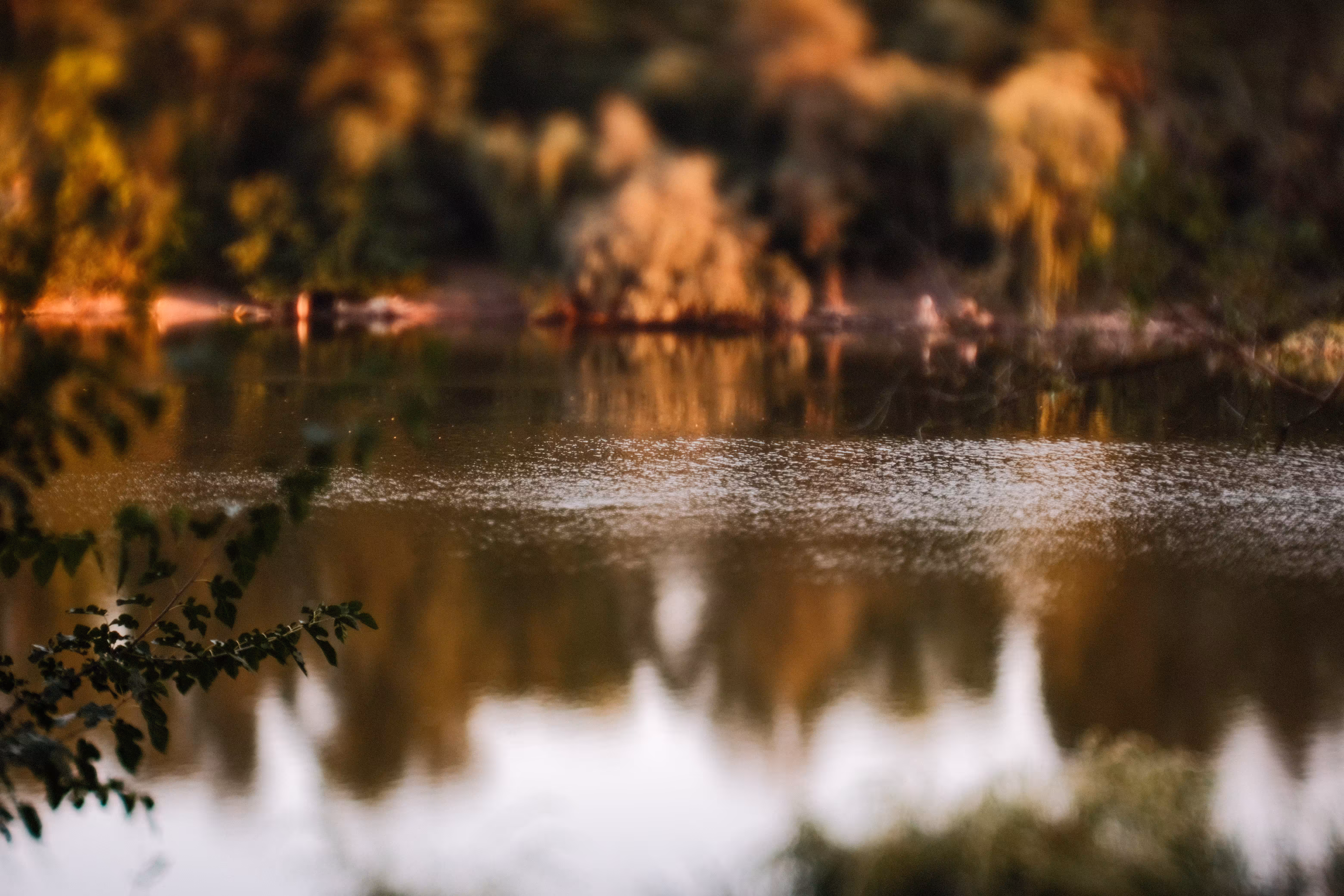 autumn atmosphere