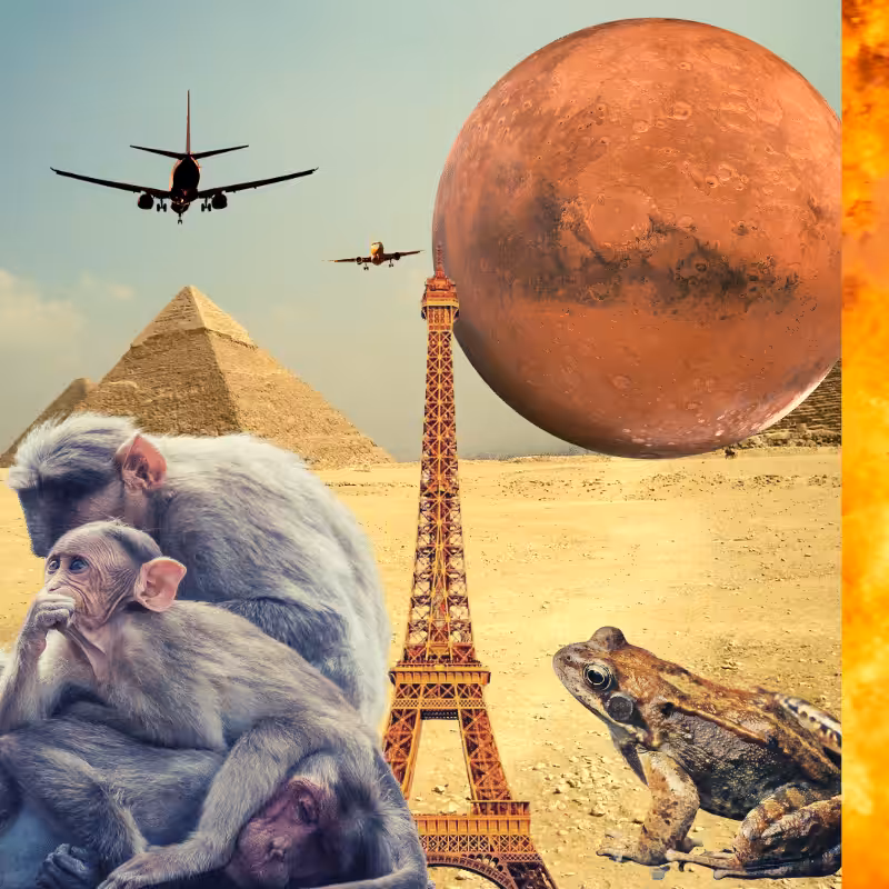 Banana & Pepe on mysterious trips #4
