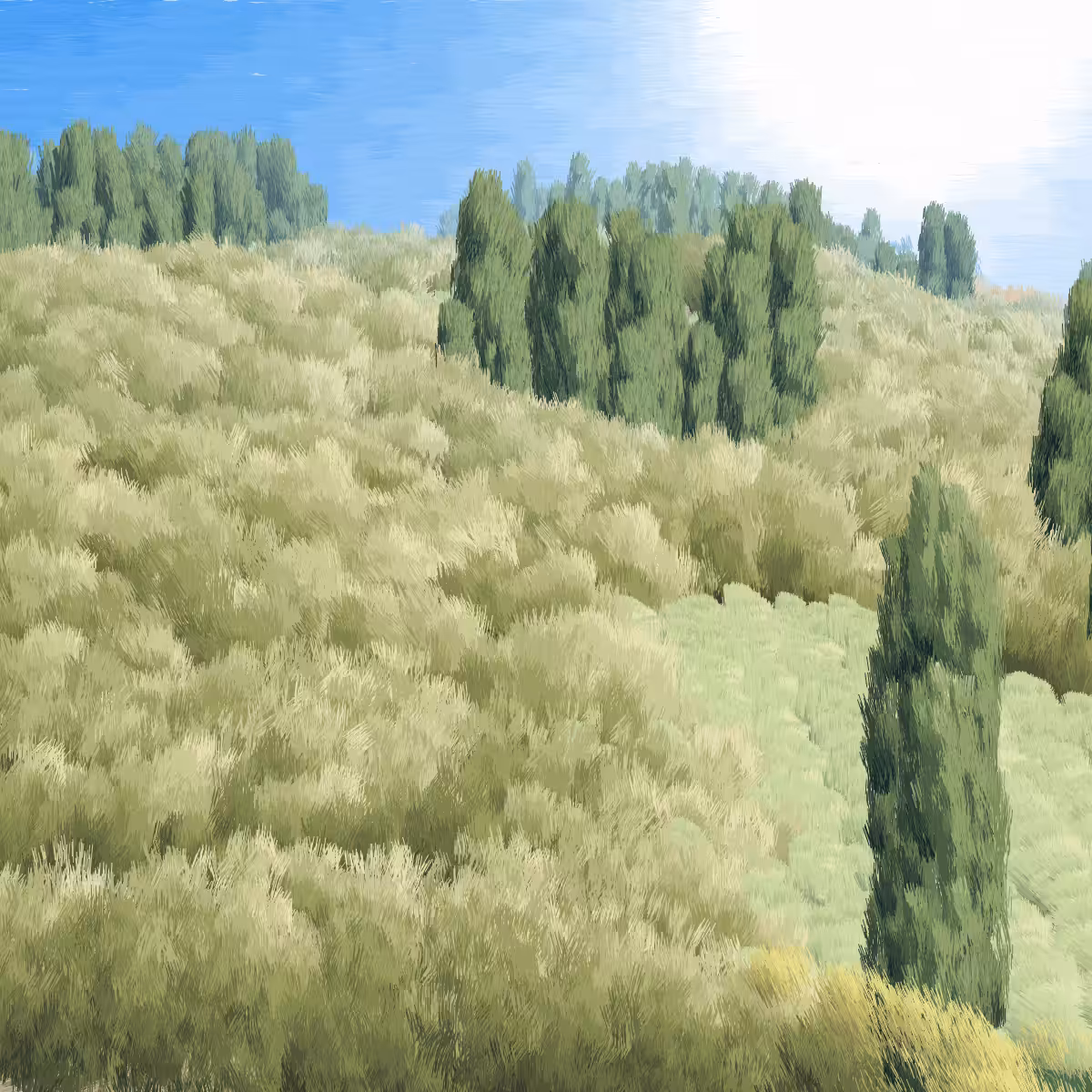Provence #396