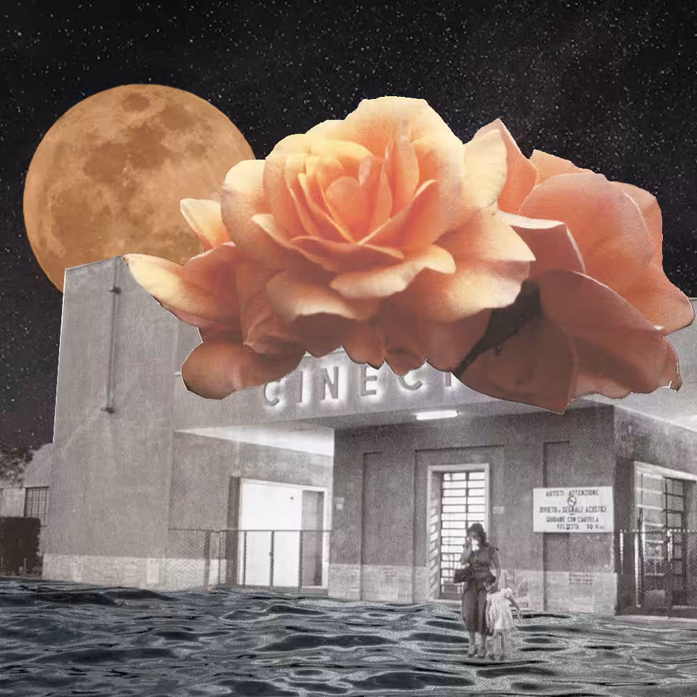 Blossom cinema