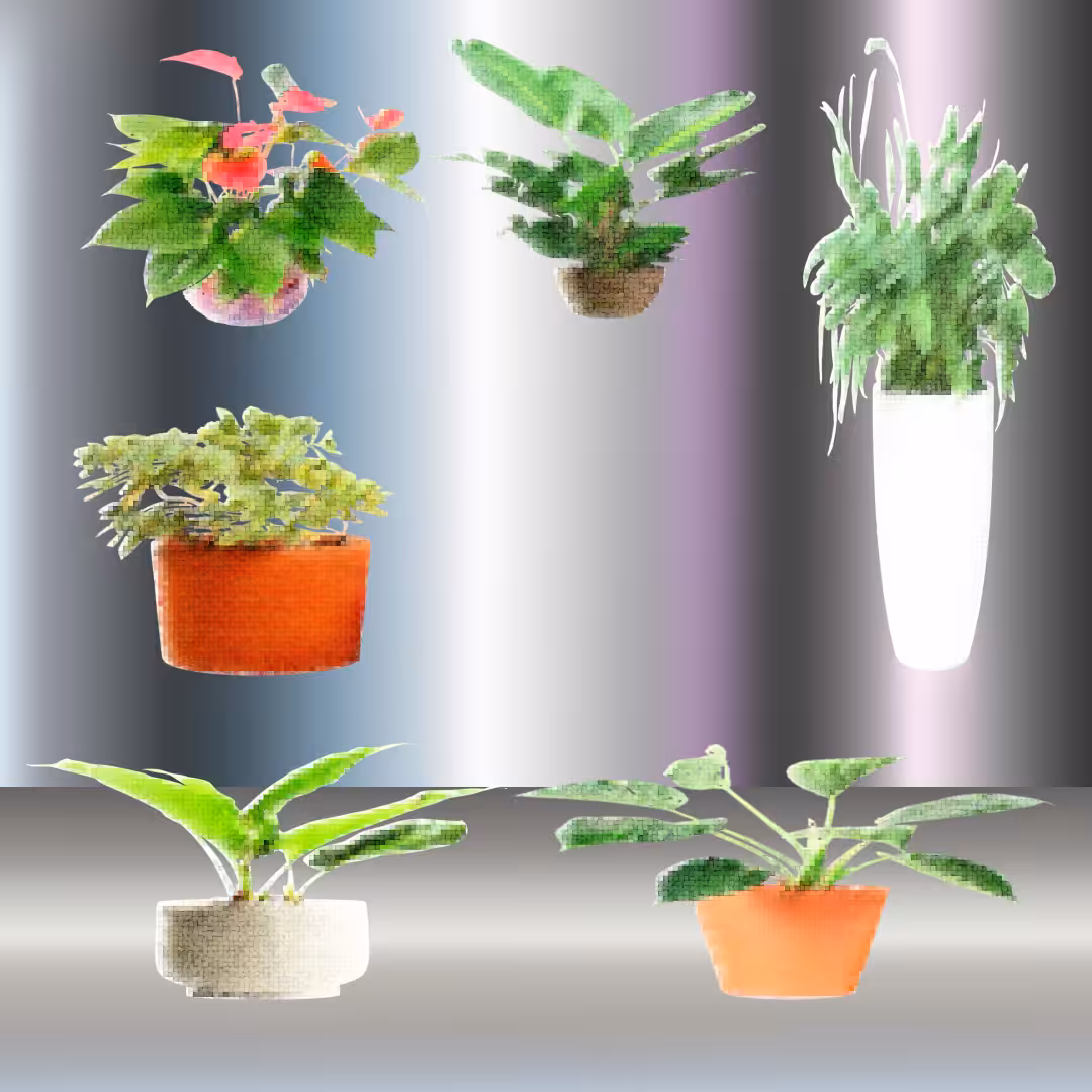 plantas