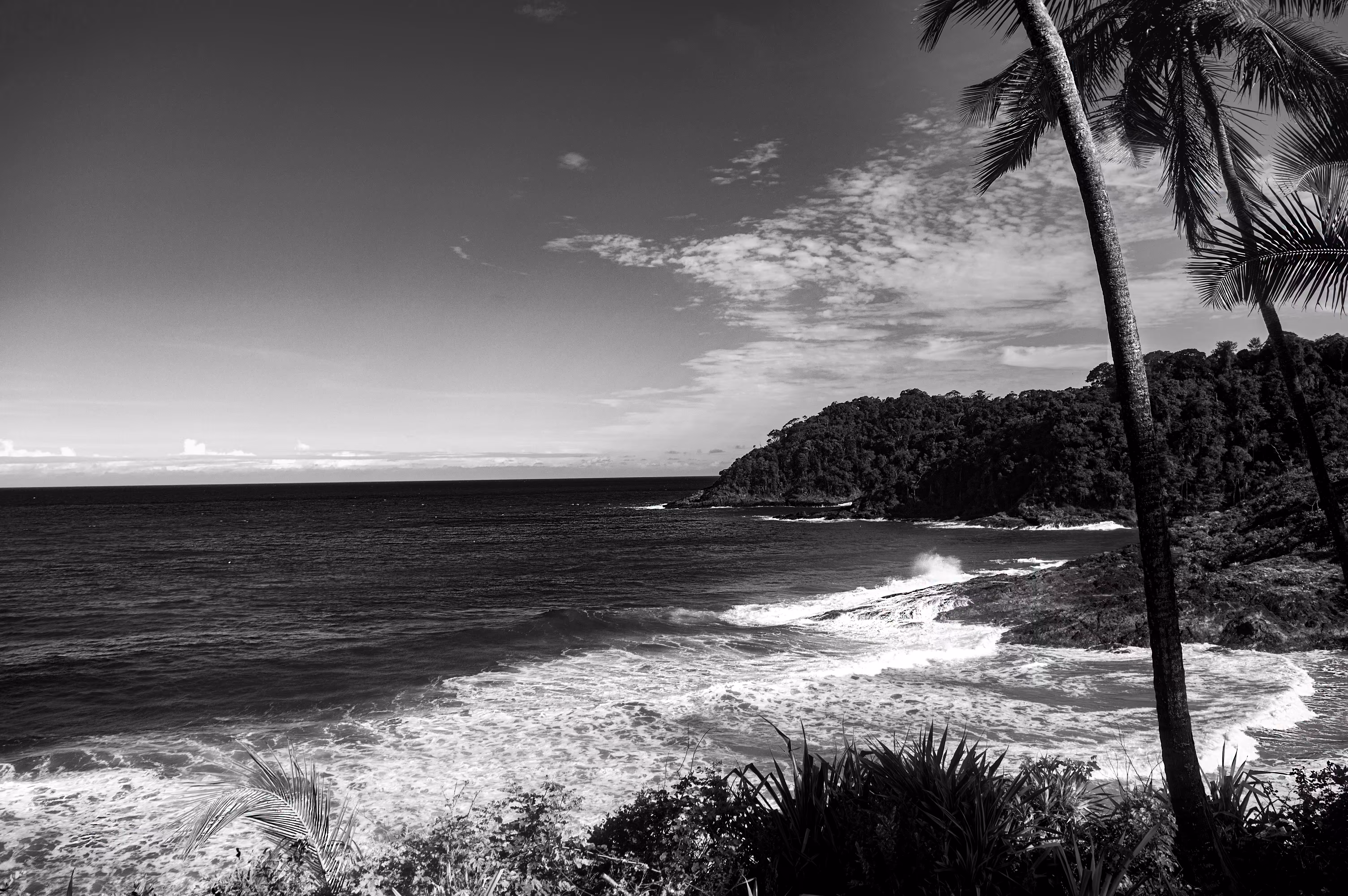 praia da costa