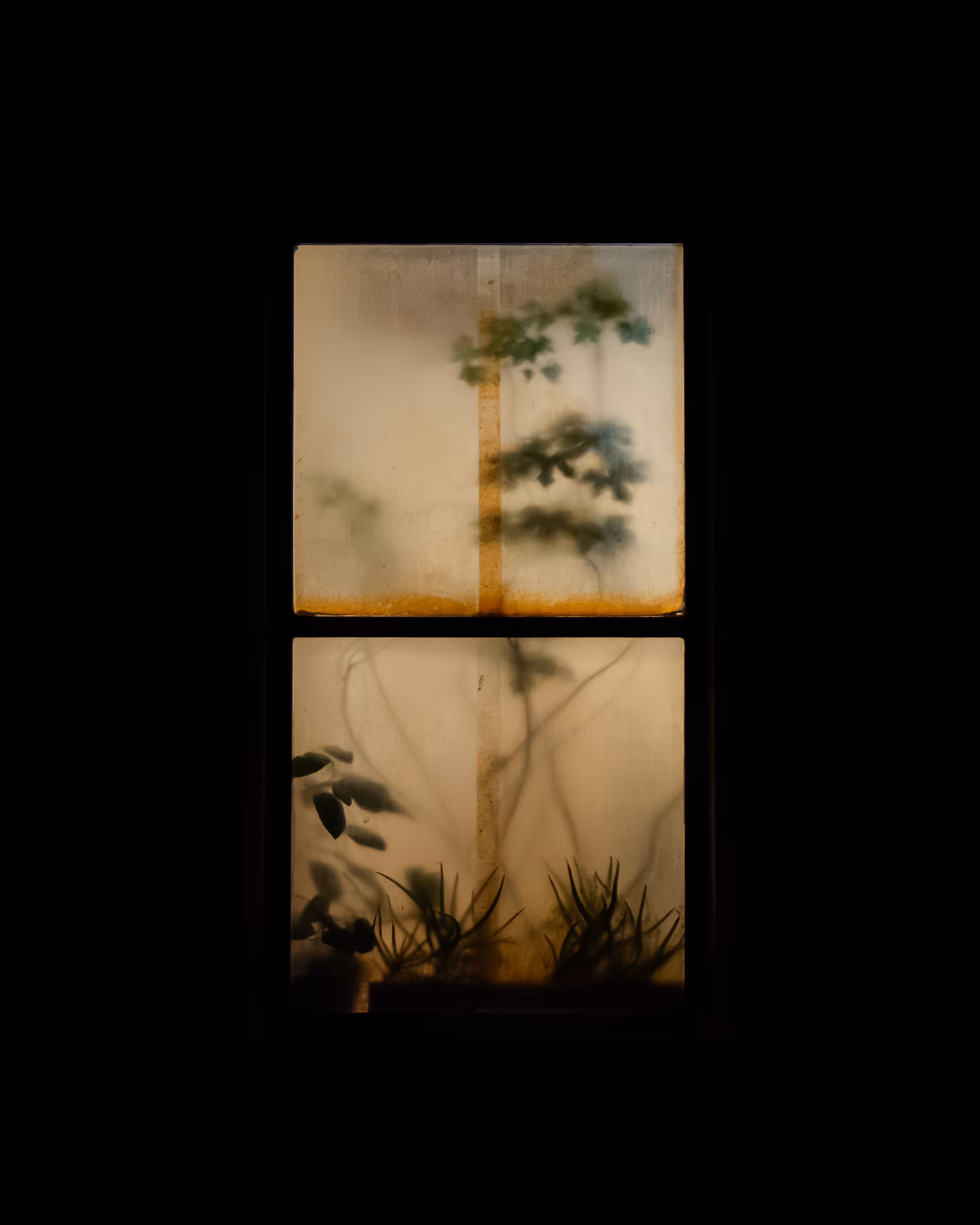 WINDOWS // NYC: WINDOW 260
