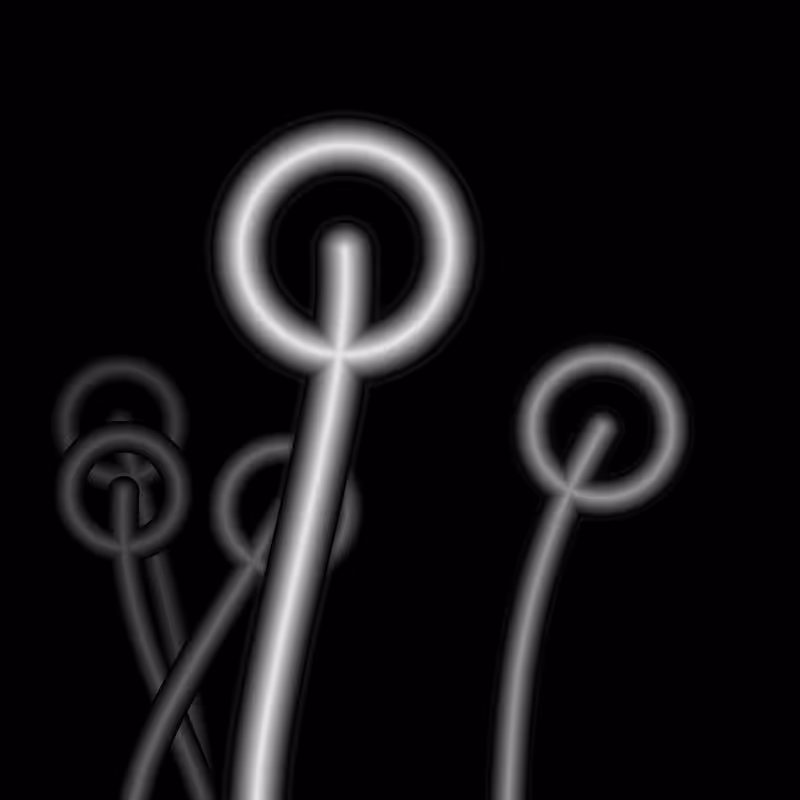 We_O #2