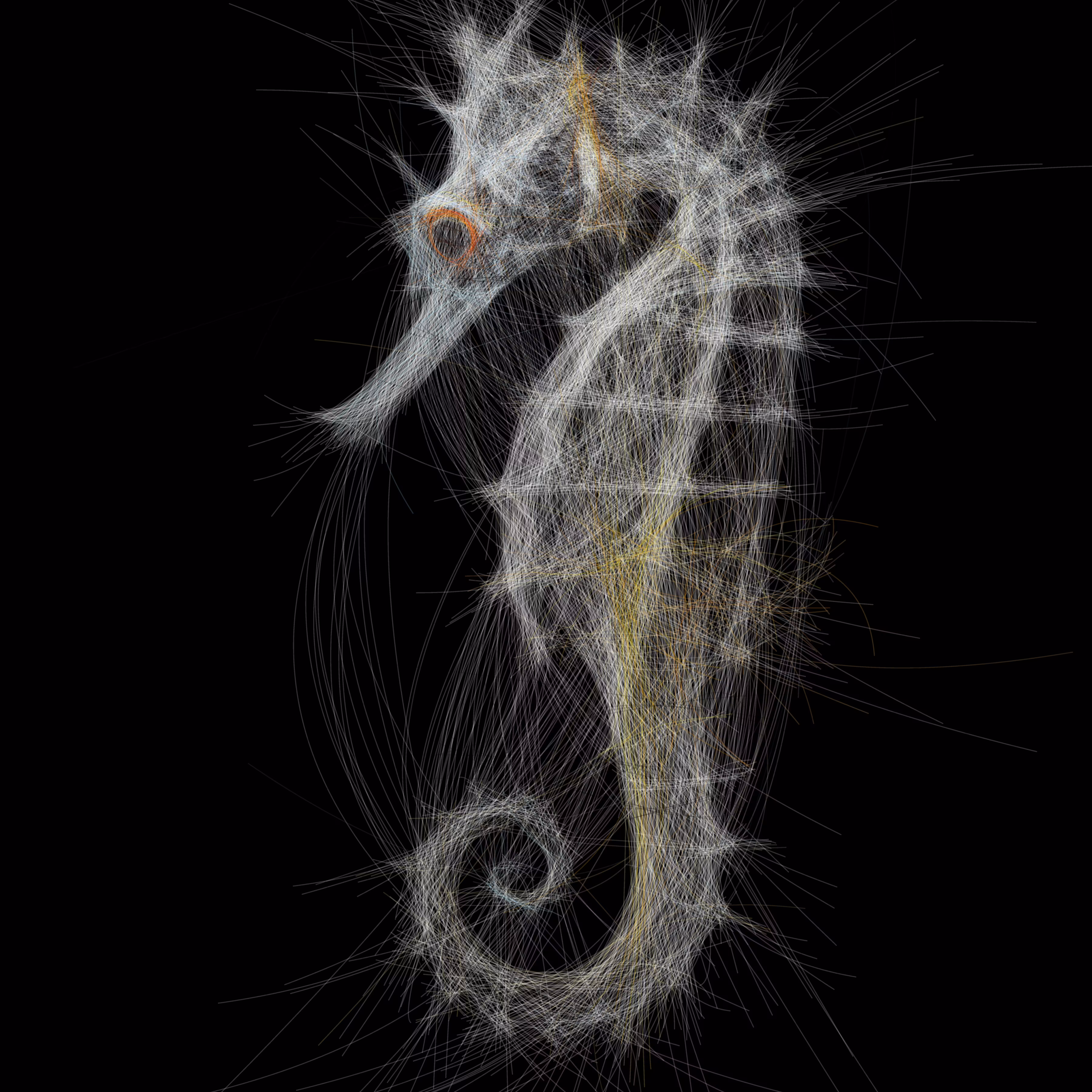 Underwater 224
