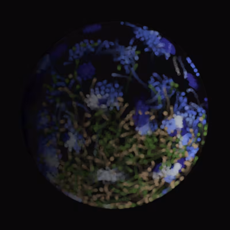 Earth #33