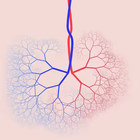 capillary trees #27