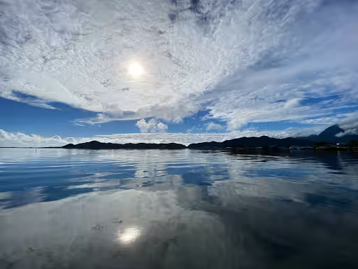 Off The Dock - A Rippled Mirror