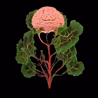 GammaTime in (R)VERSE - Cultivating Thought