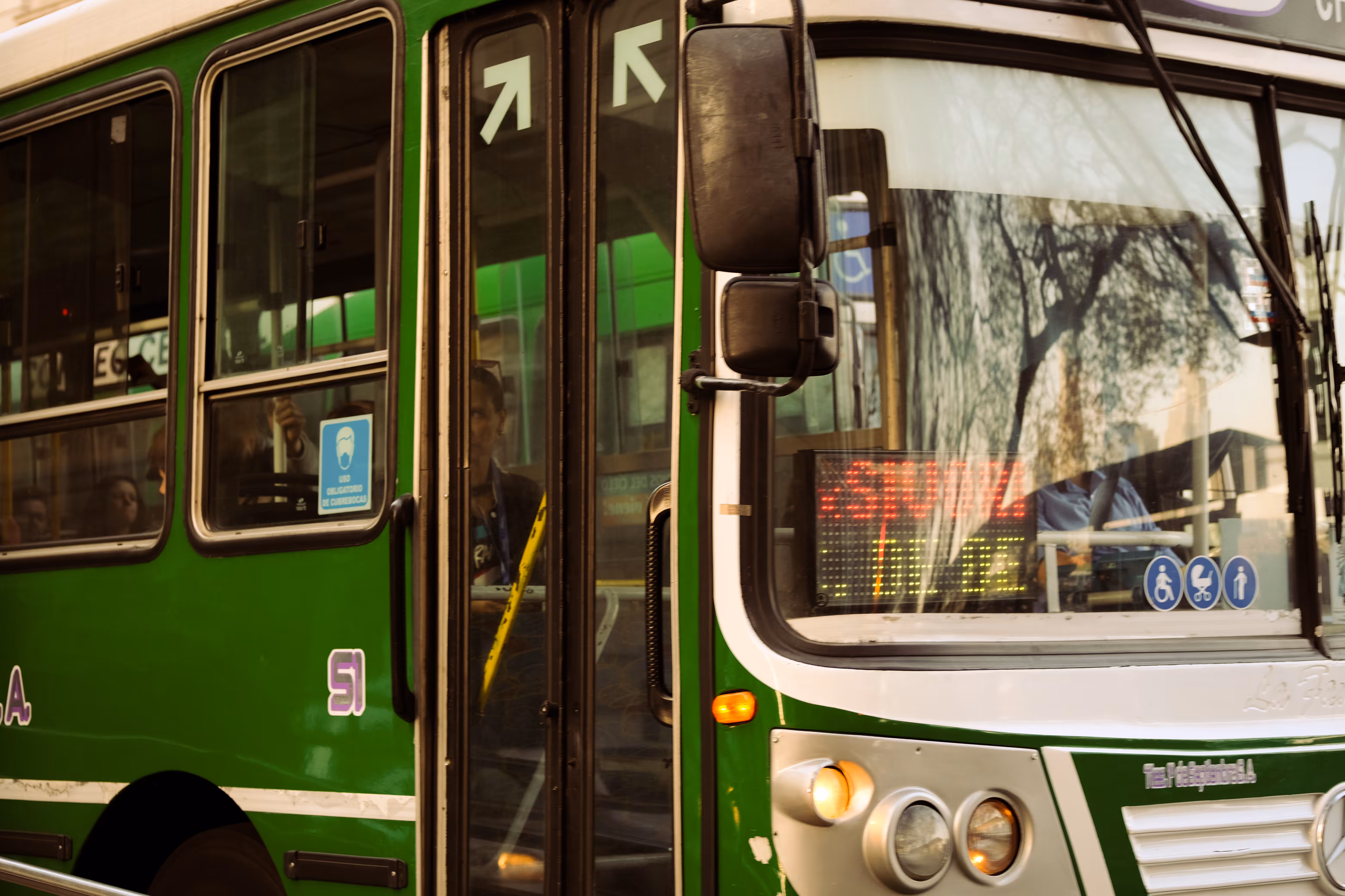 City Buses: 51