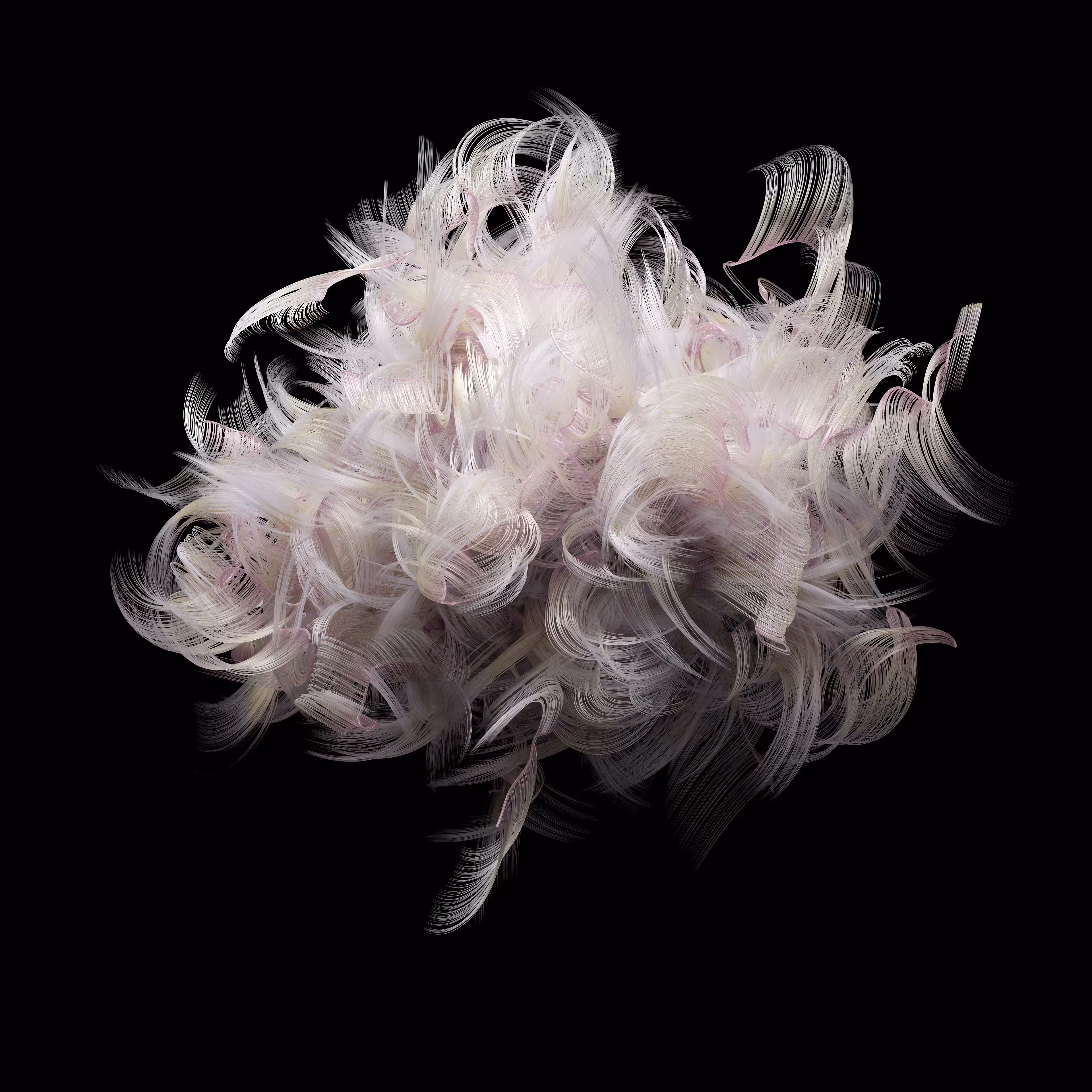 Feathered Curl #4