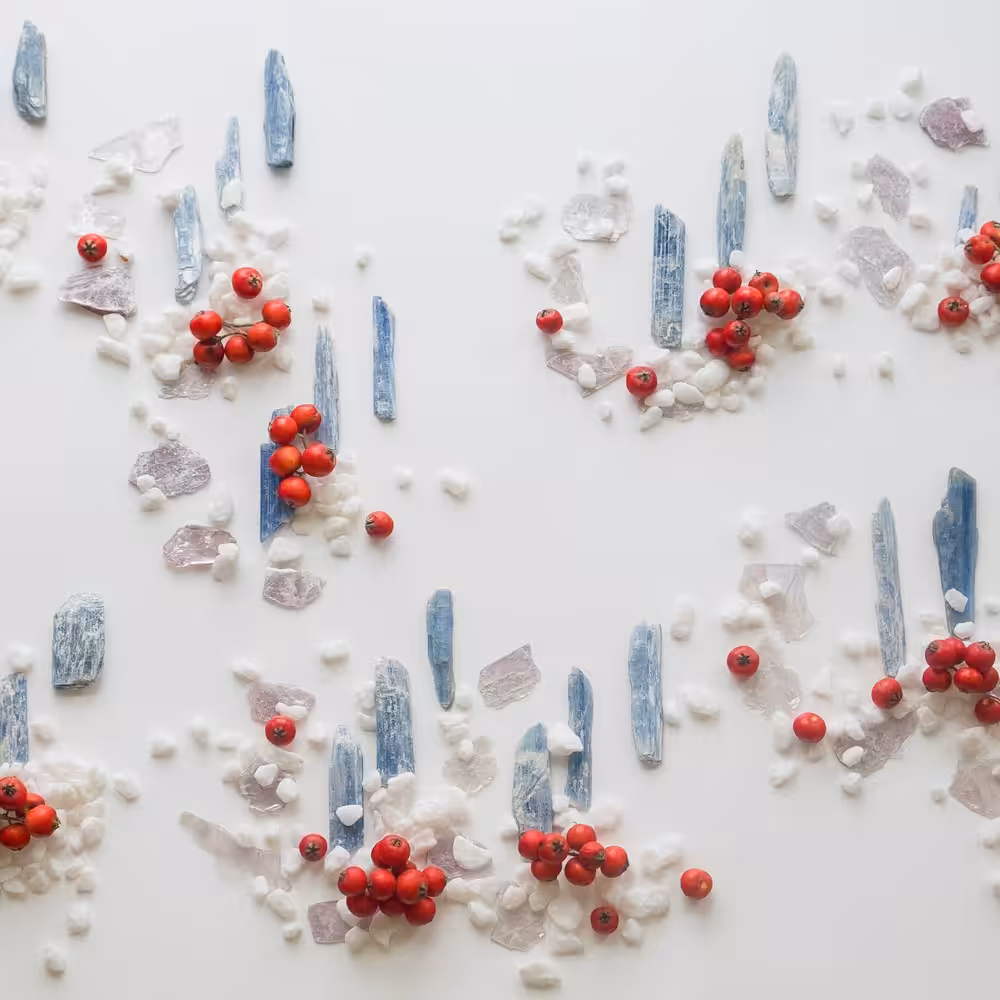 Autumn Crystal Forest