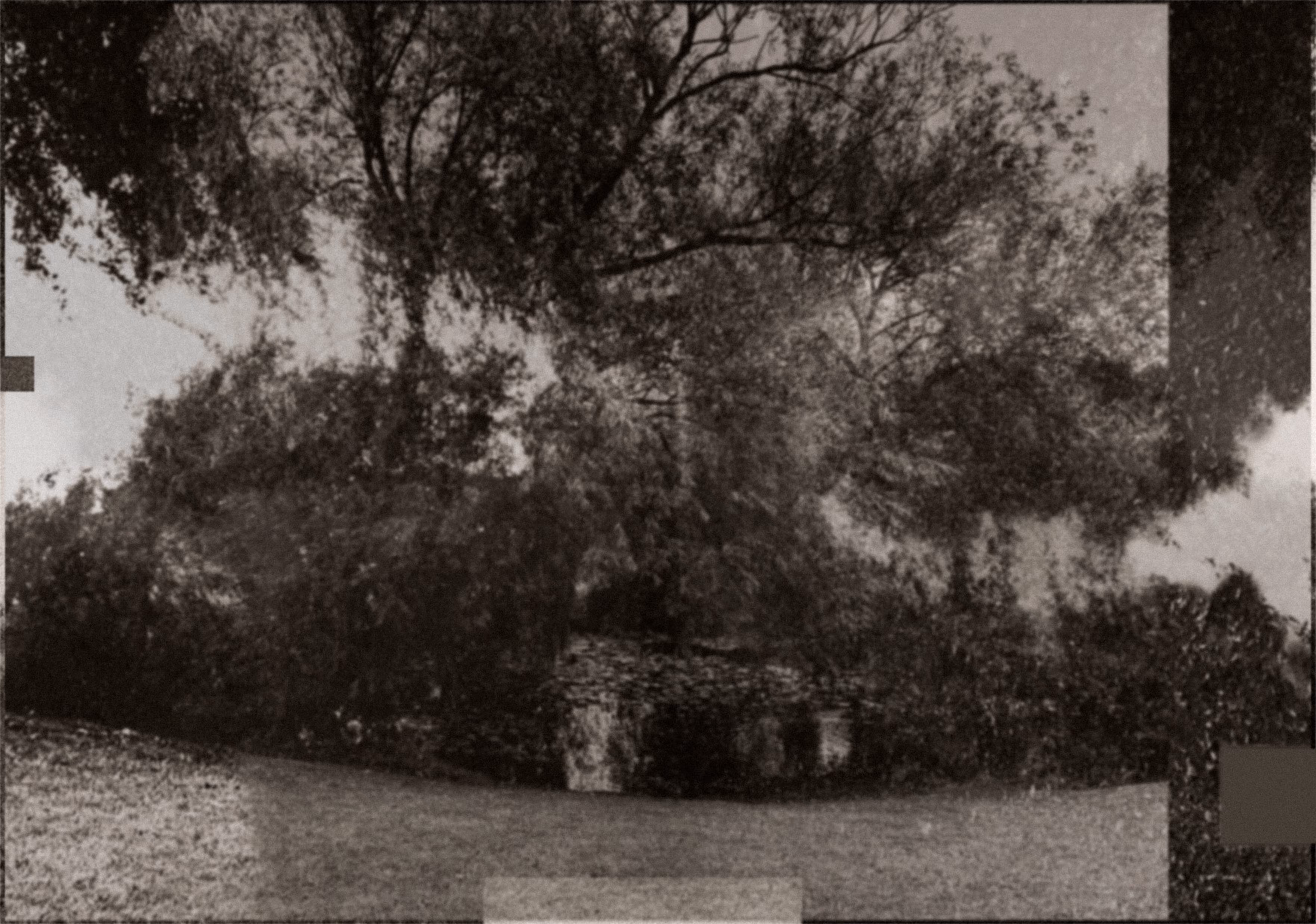 photograph 28