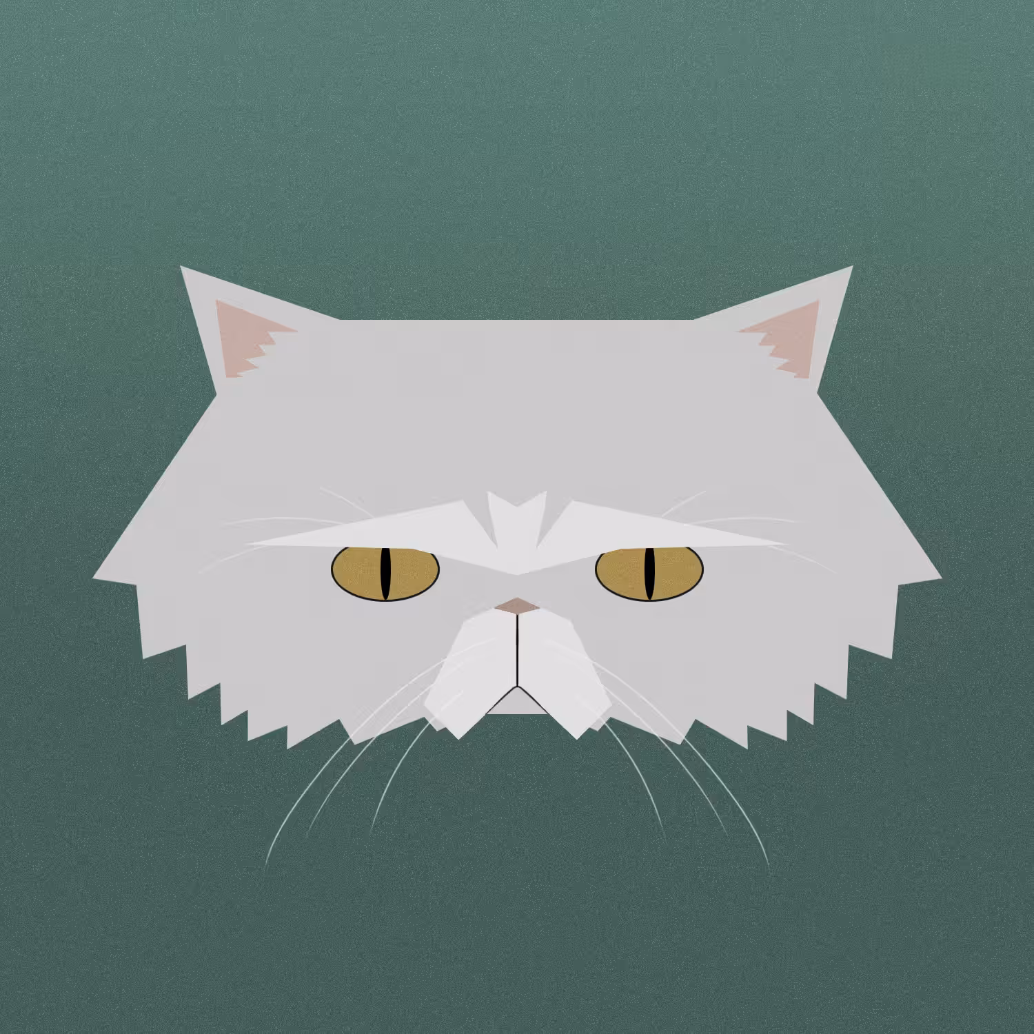 kitty #2 - persian