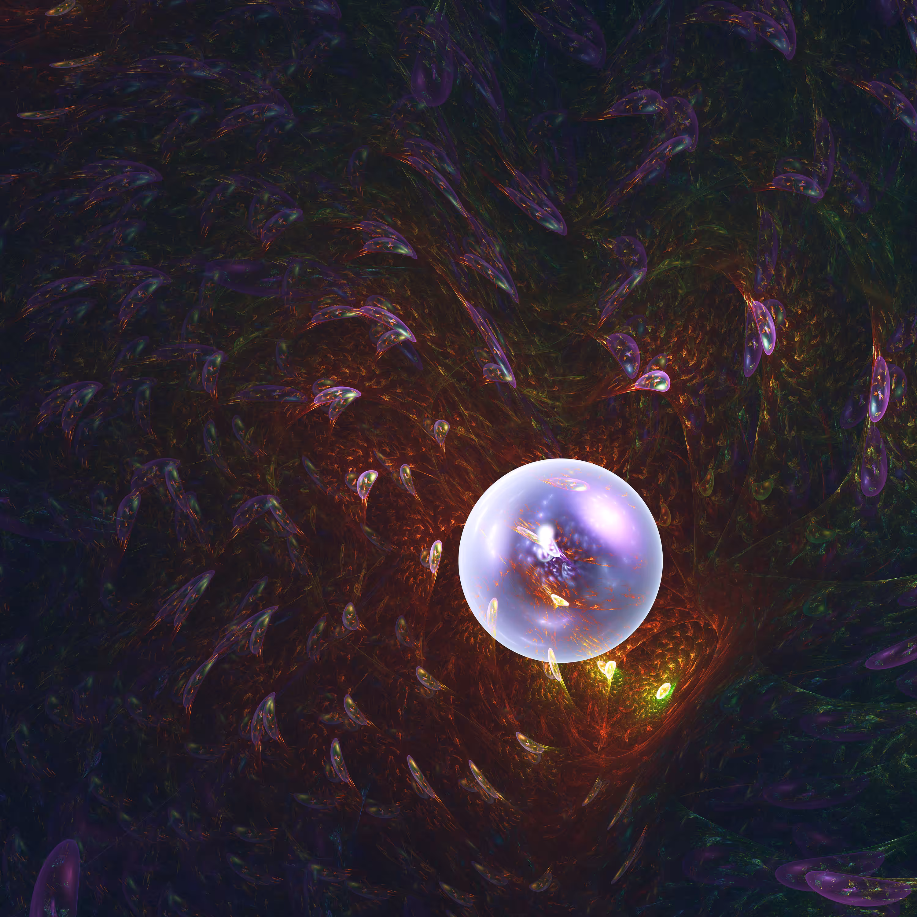 Embryo