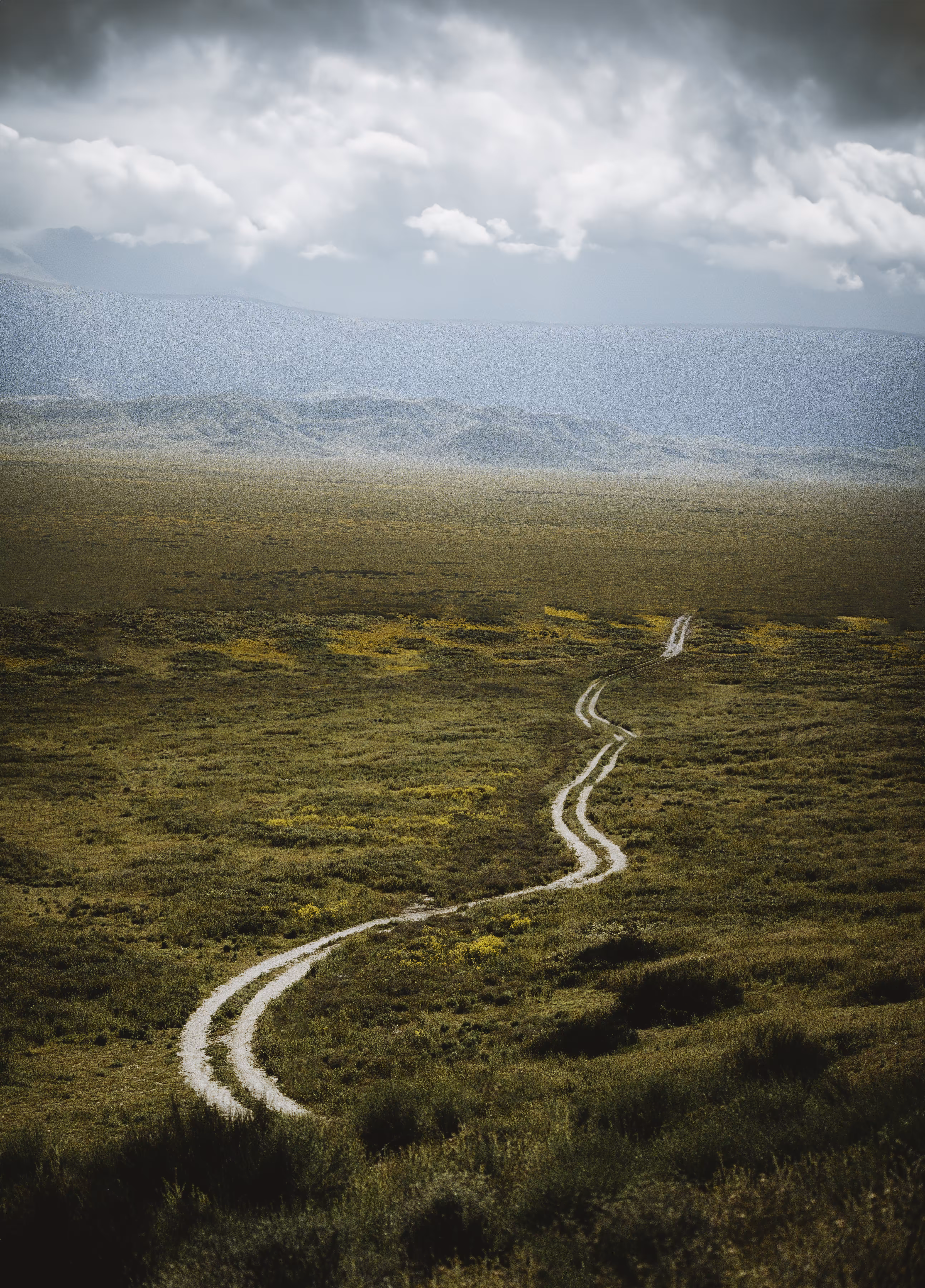 Road to Solitude