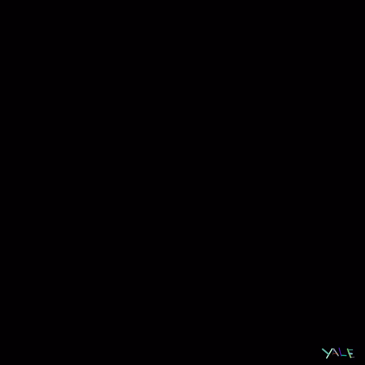 Black #7