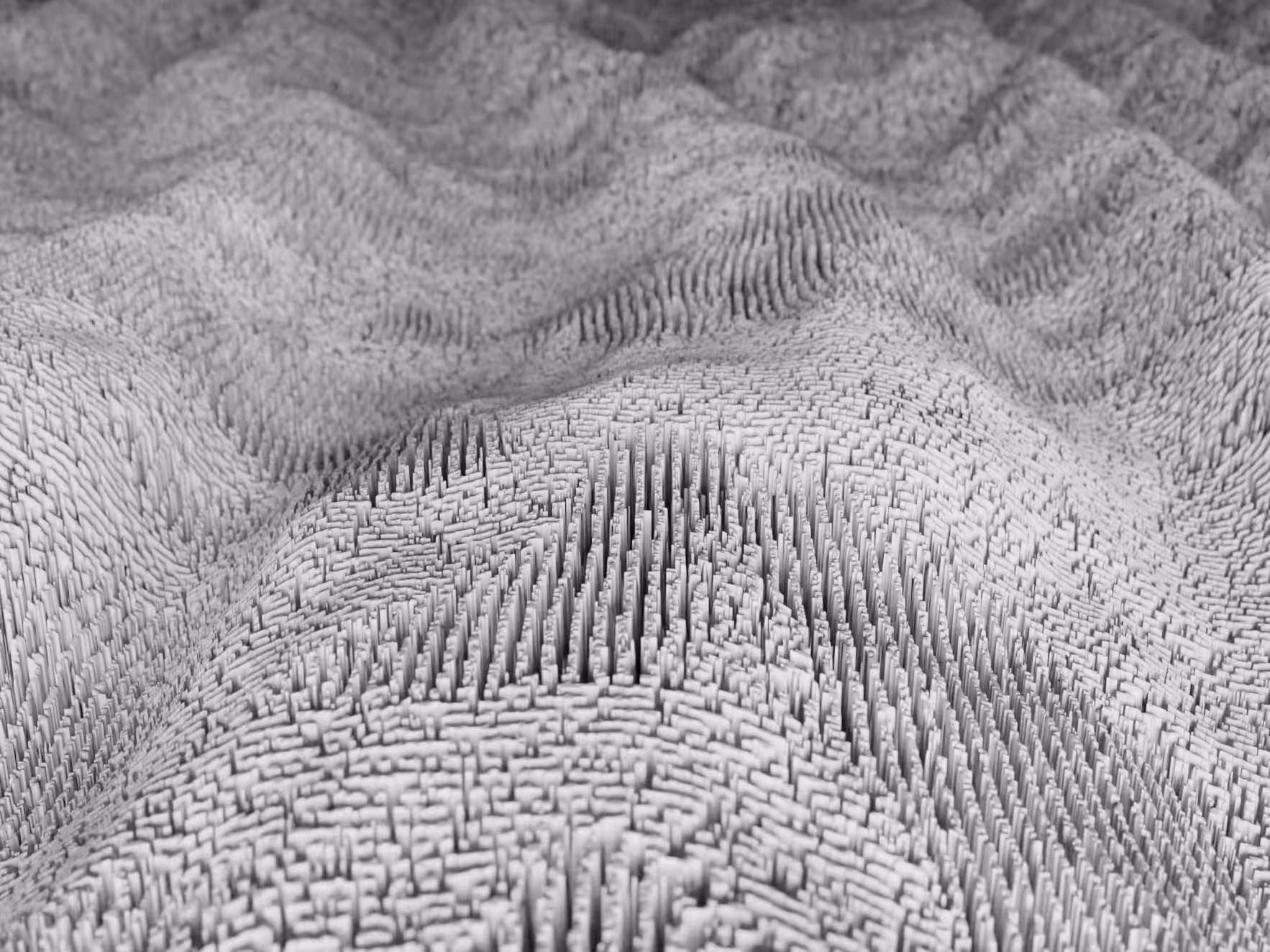 PHYSARUM LANDSCAPE #9