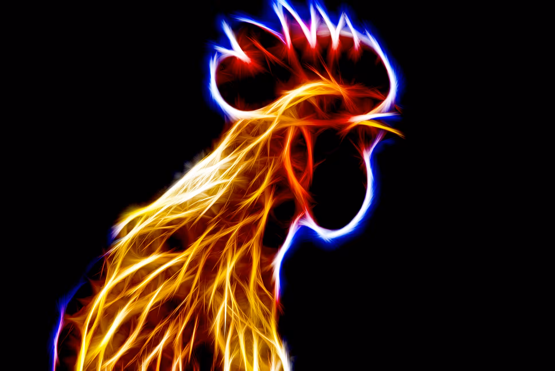 fractal rooster of light