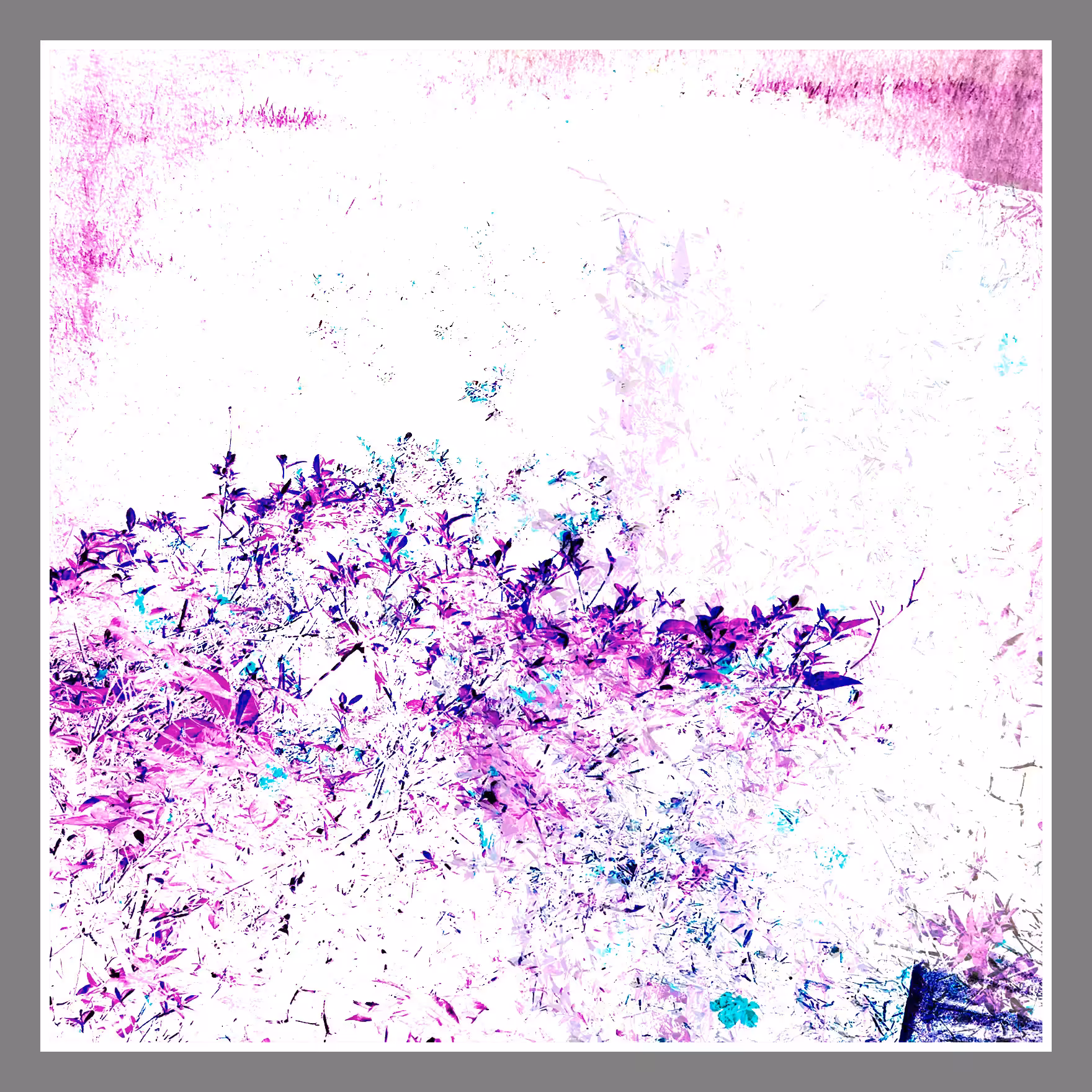 Be Kind: Flowers, 5/16/2022