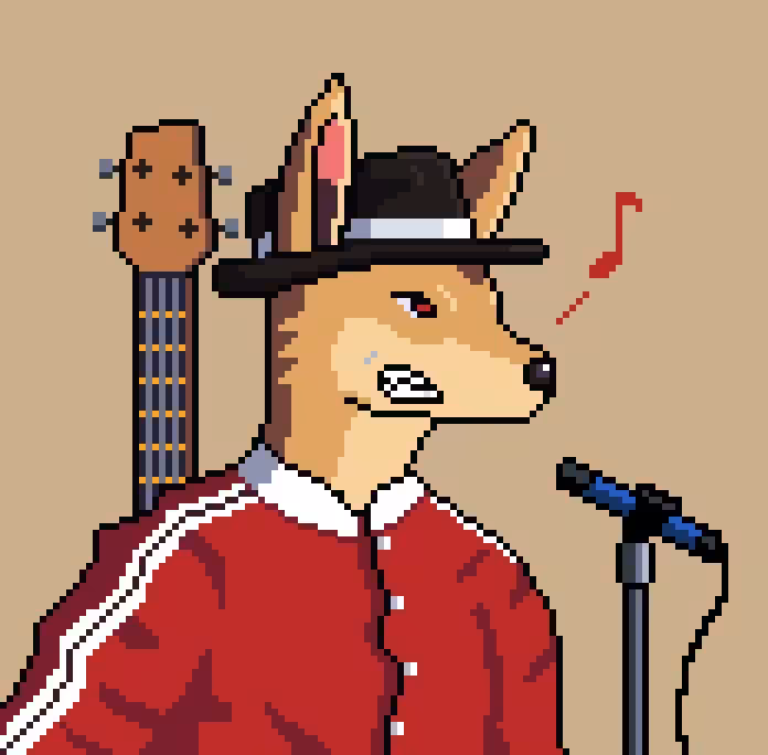 MUSICAL JACKALS: Musical Jackals 162