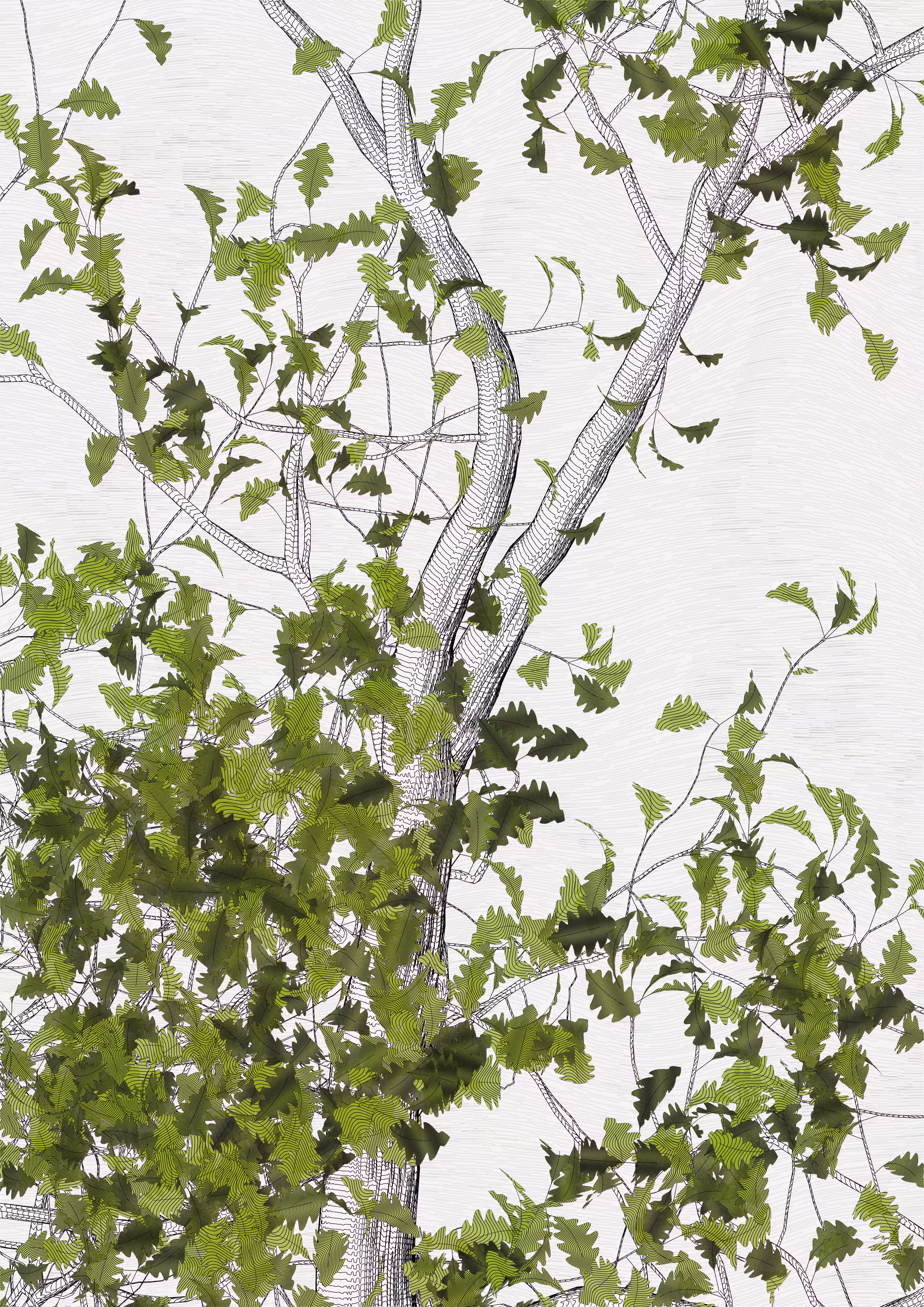 The Oak Tree part #0,+2