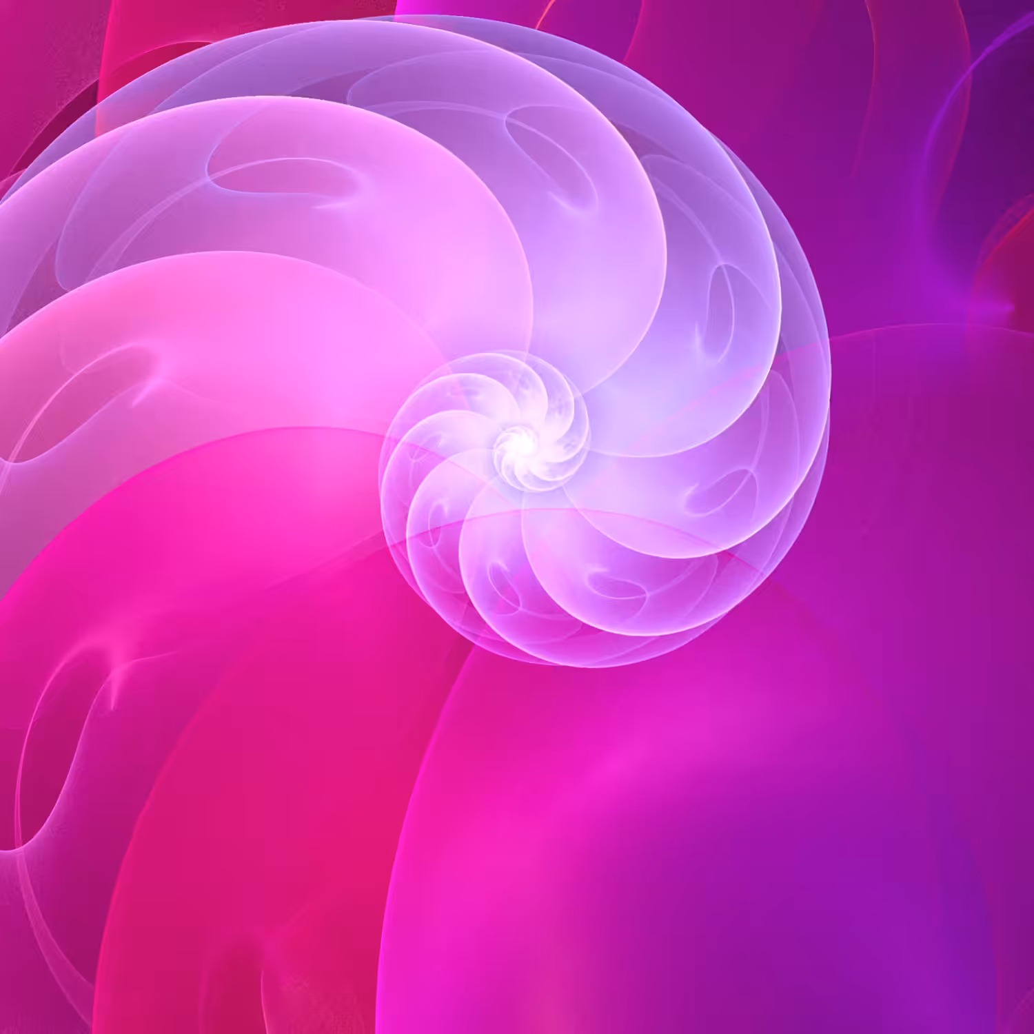 Endless volute