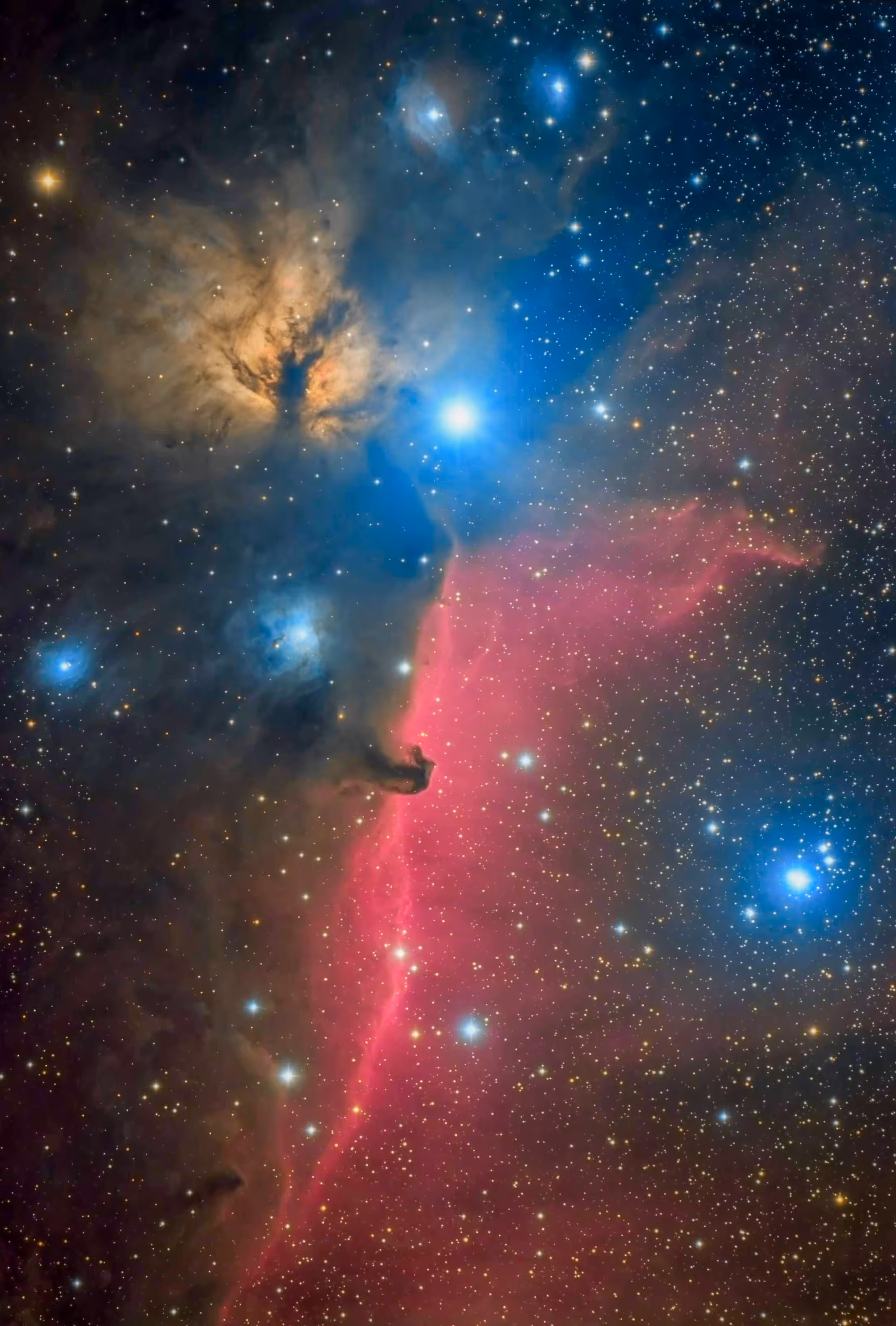 The Dark and Light of Orion