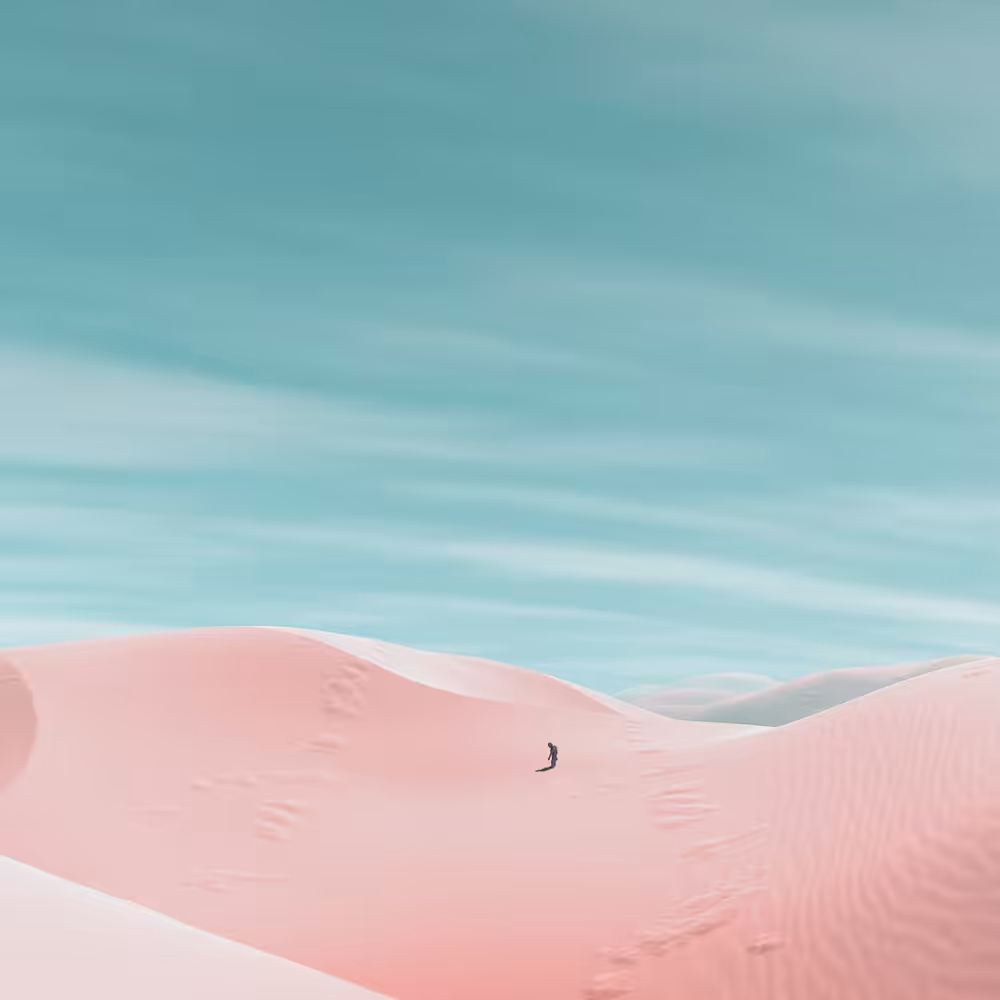 NO GPS