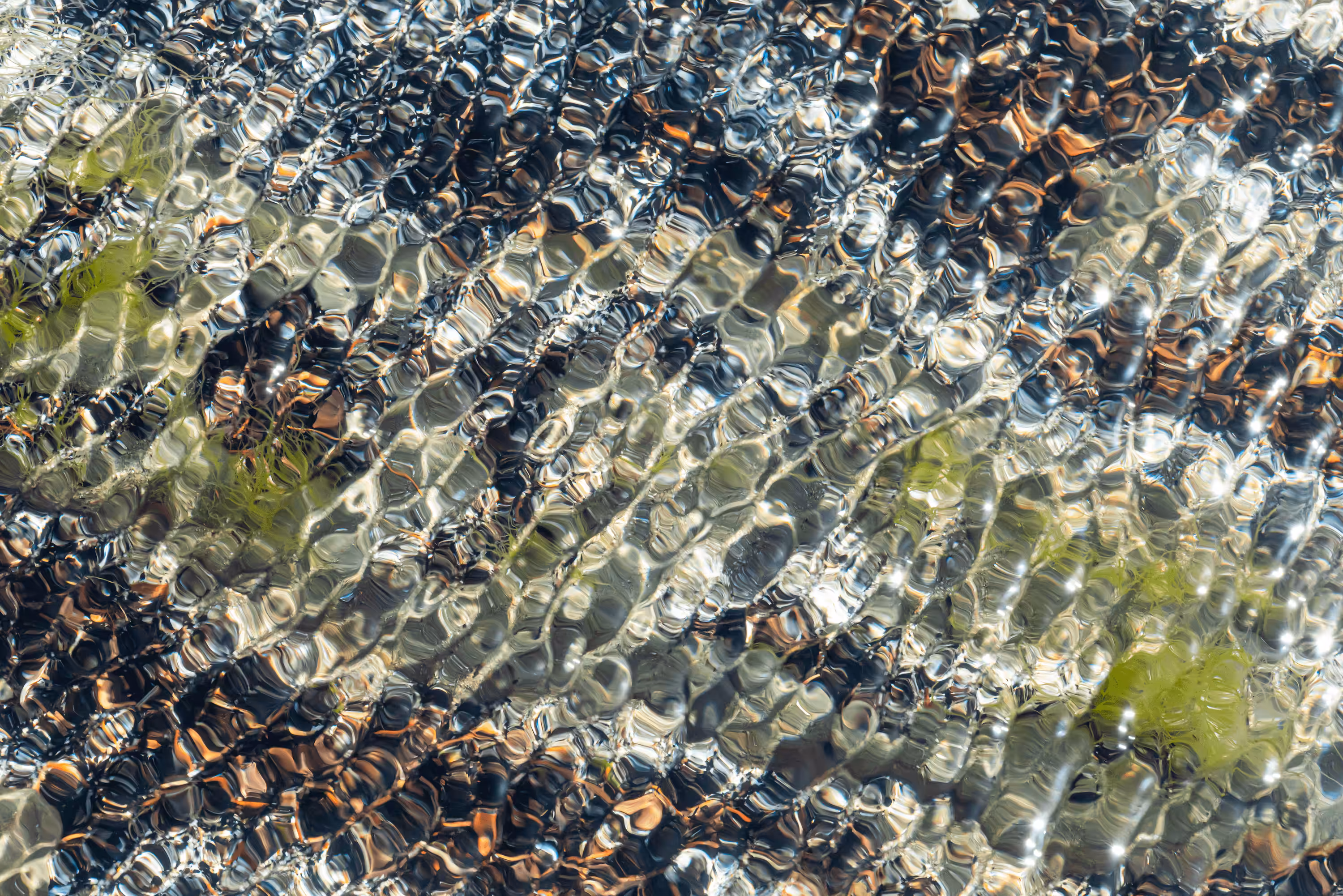 Ebb and Flow #79