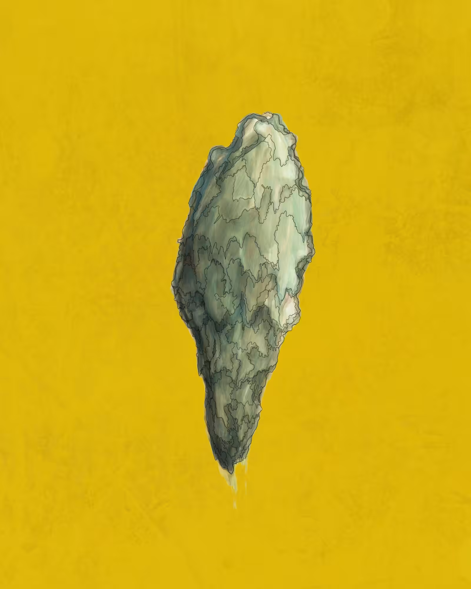 Cocoon