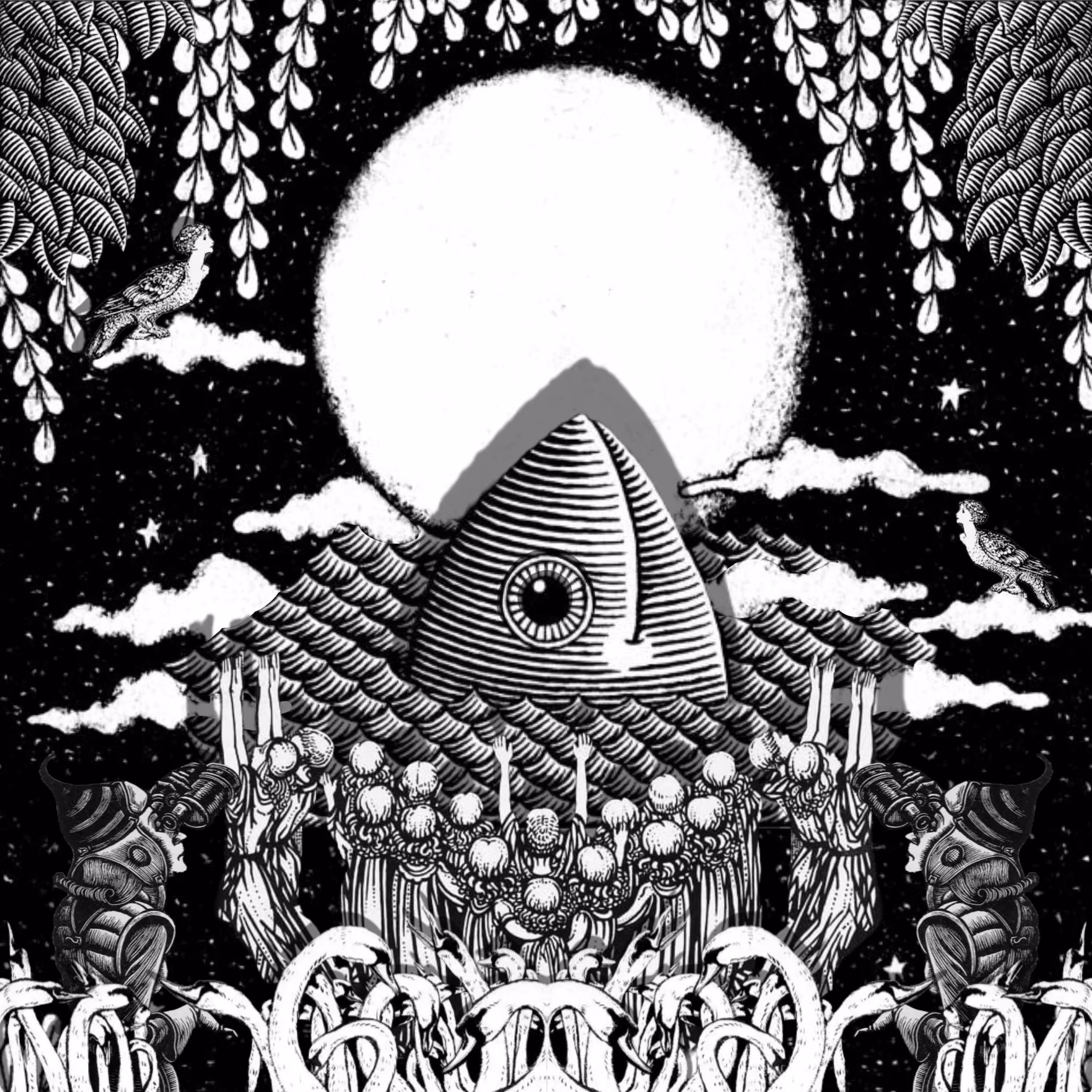 Ascension of Tuna