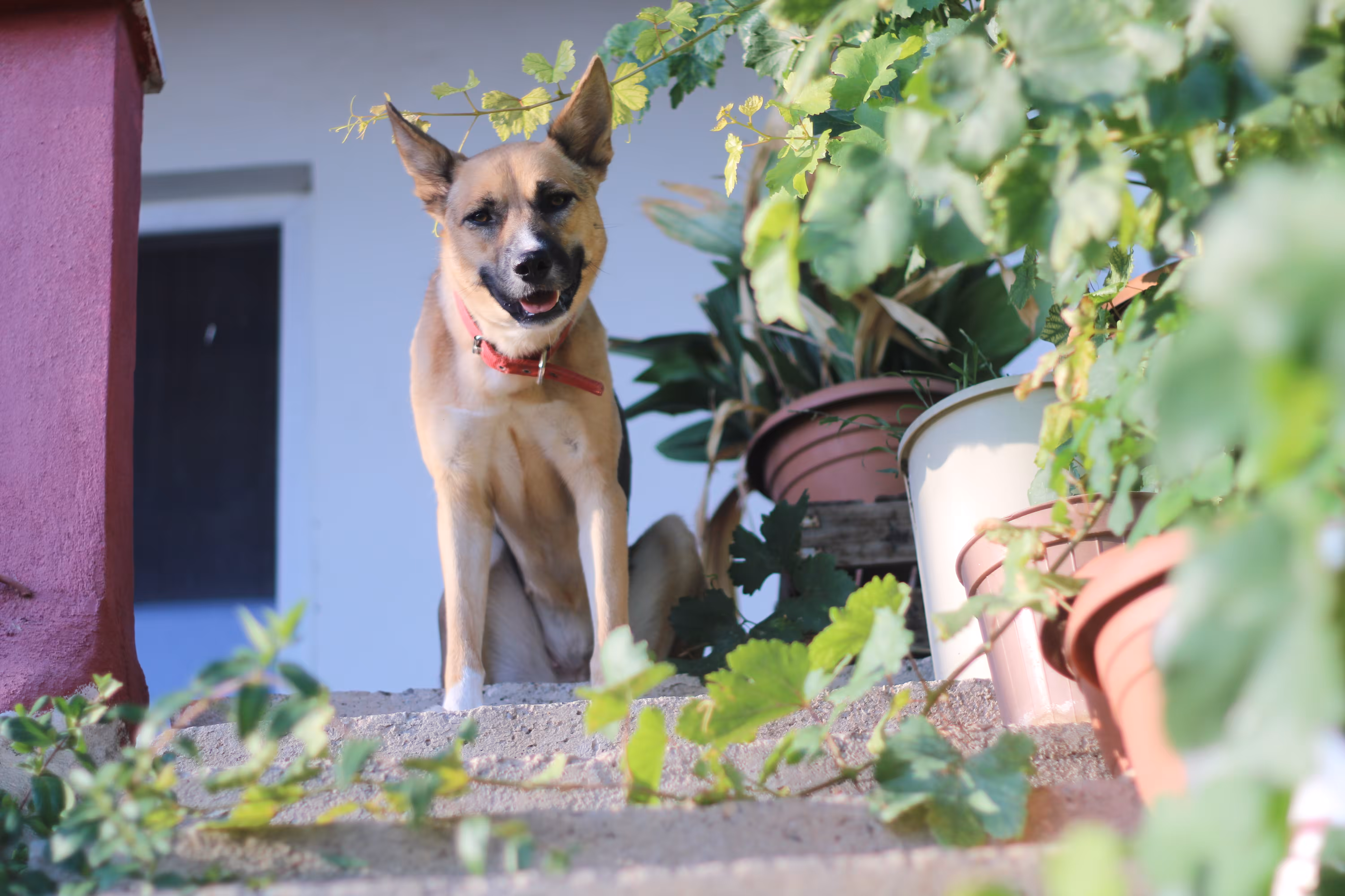 Missy <3