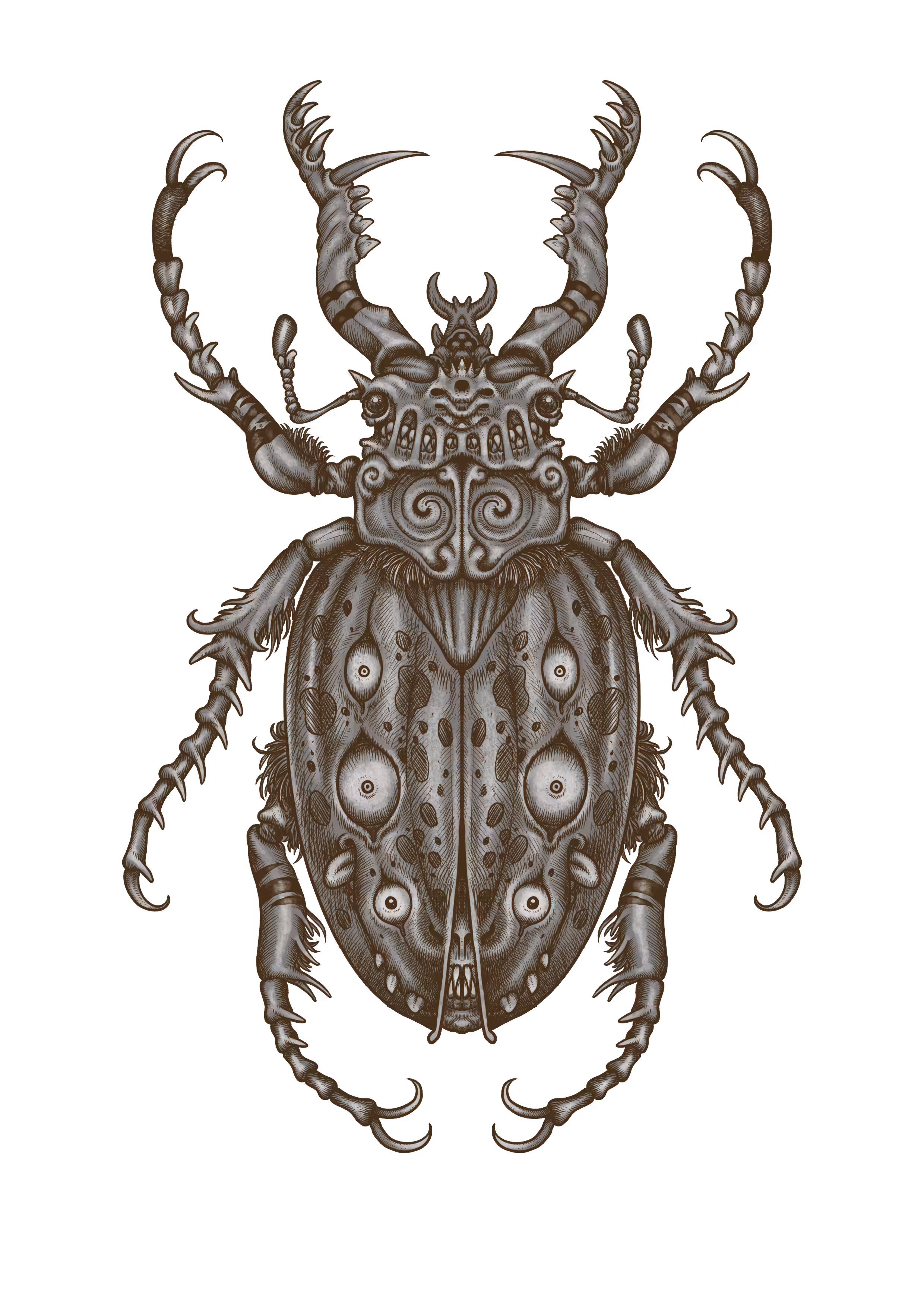 Devil Bug no.4