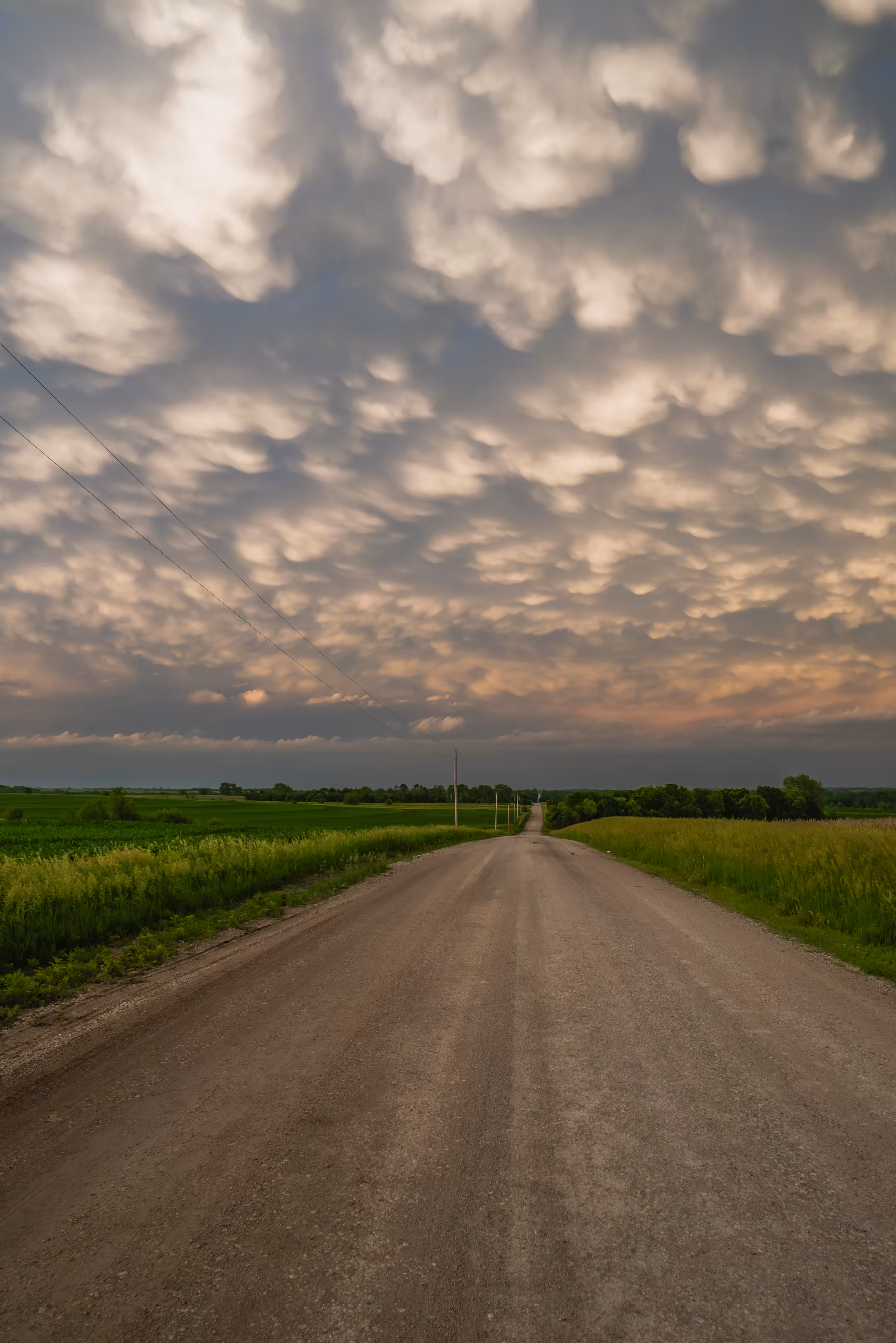 Wild Skies 