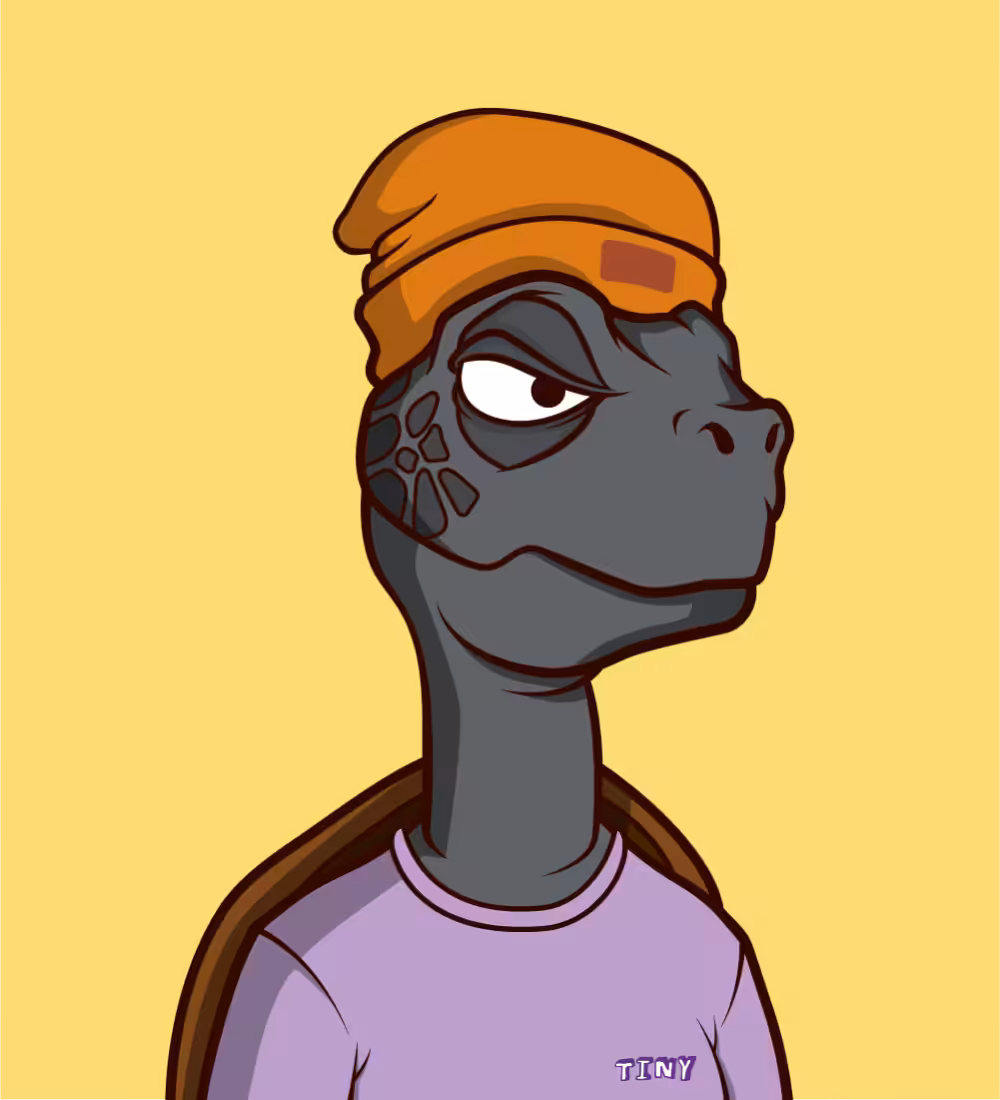 Tiny Turtle 103