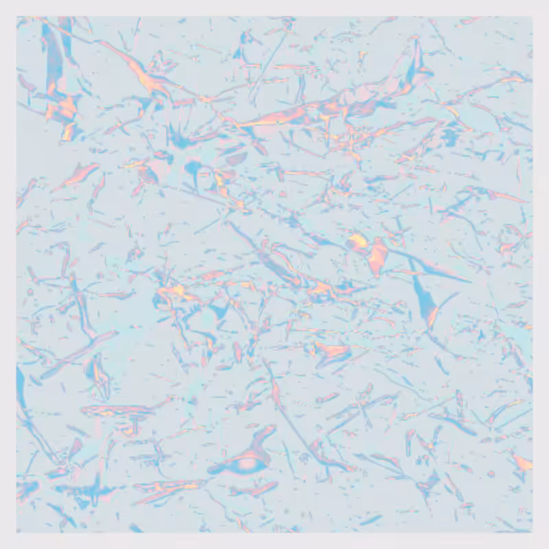 Dynamical System #11
