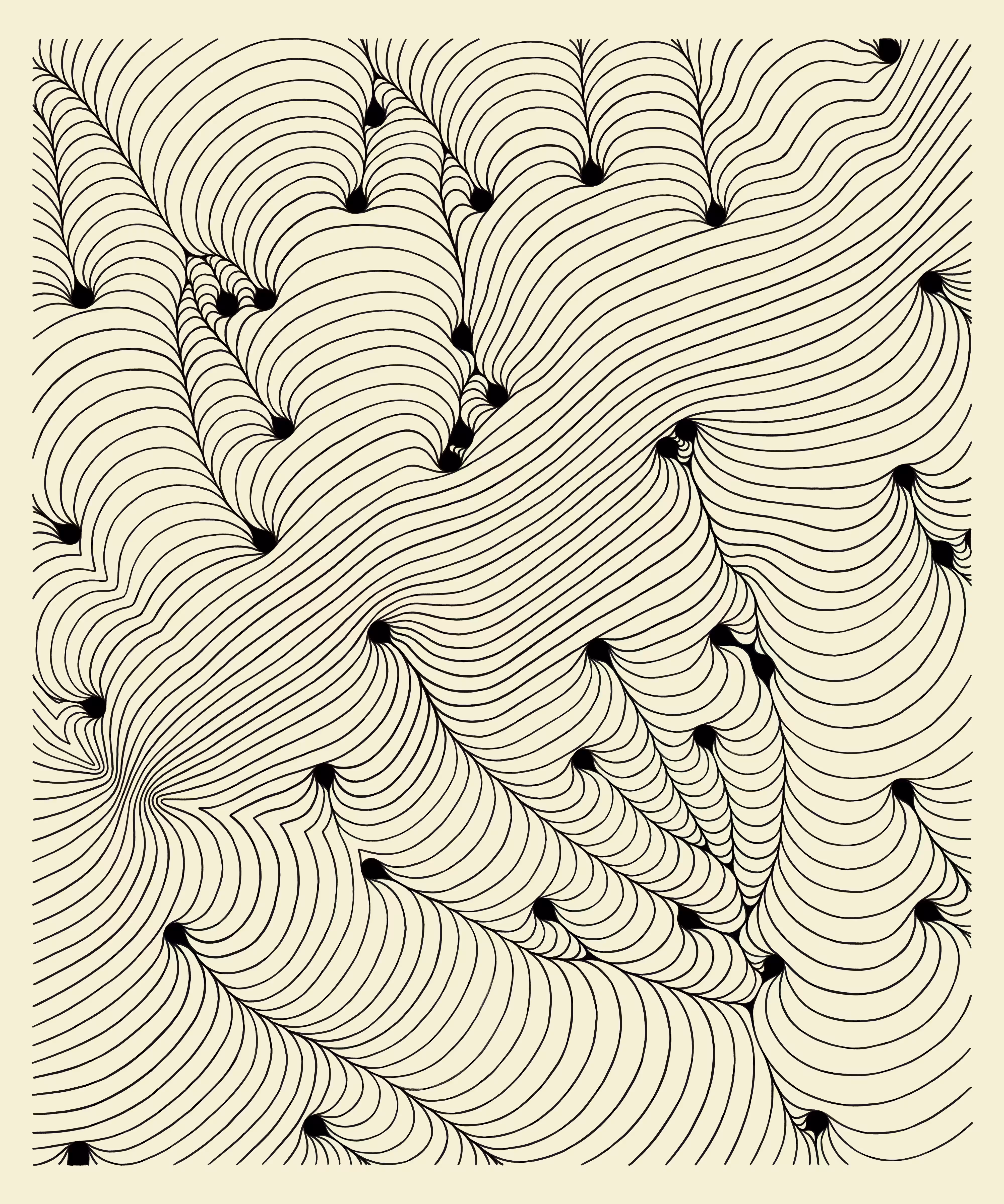 field 44