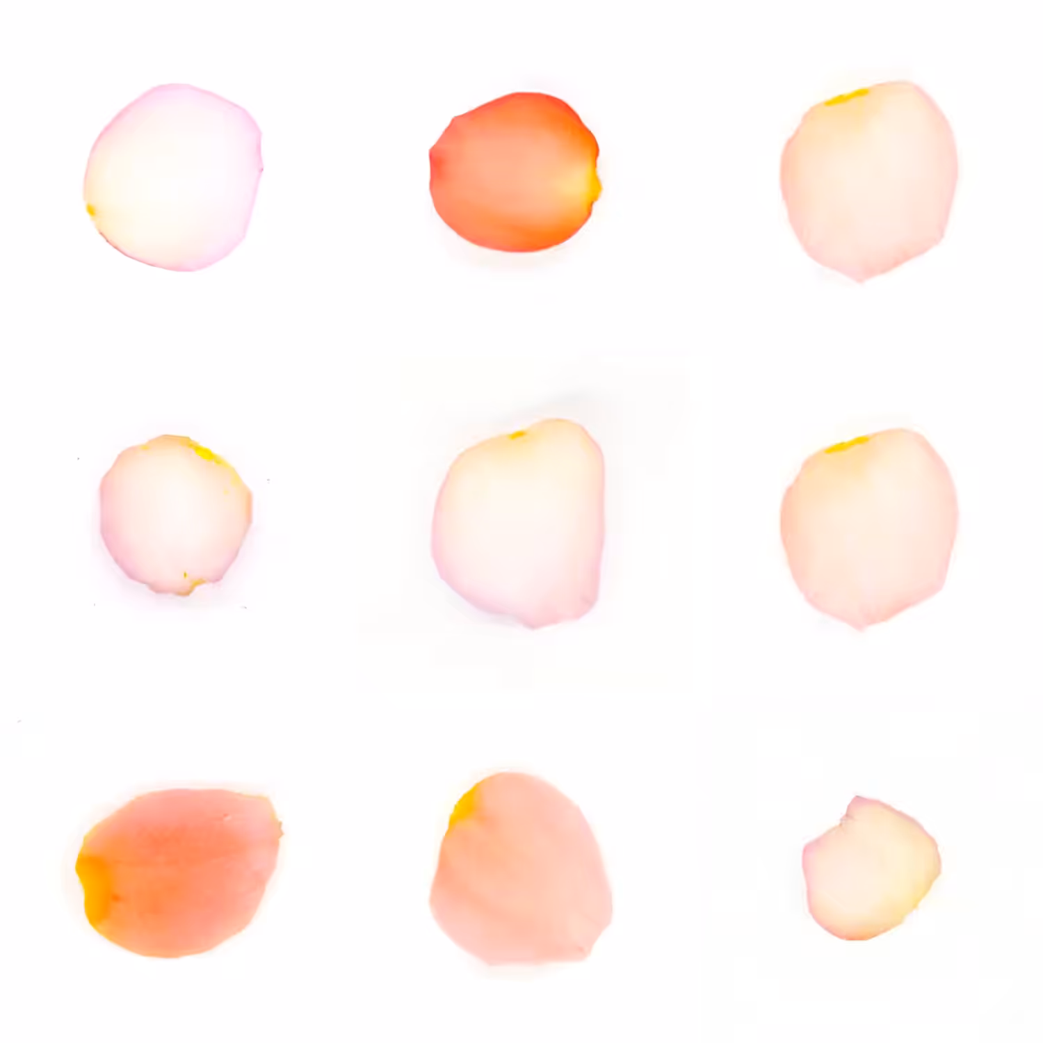 Infinite Petals 3x3#525