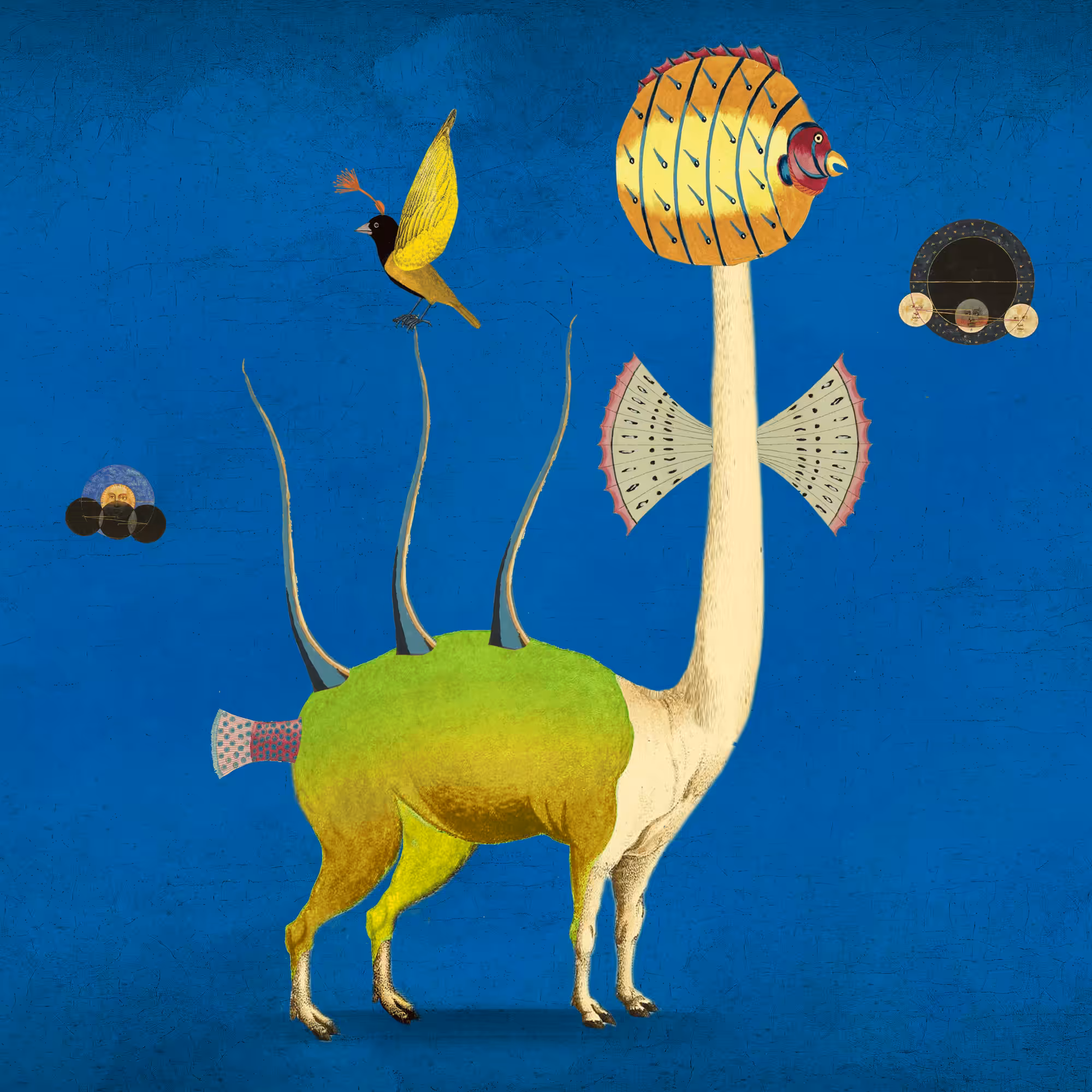 Impossible Creature #73