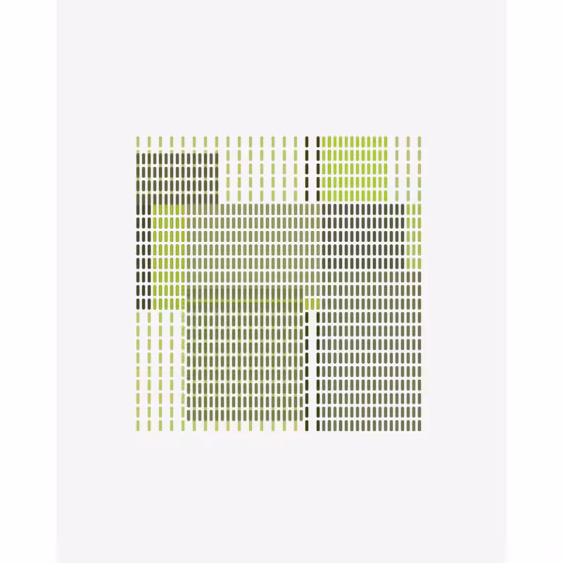 Fields #13