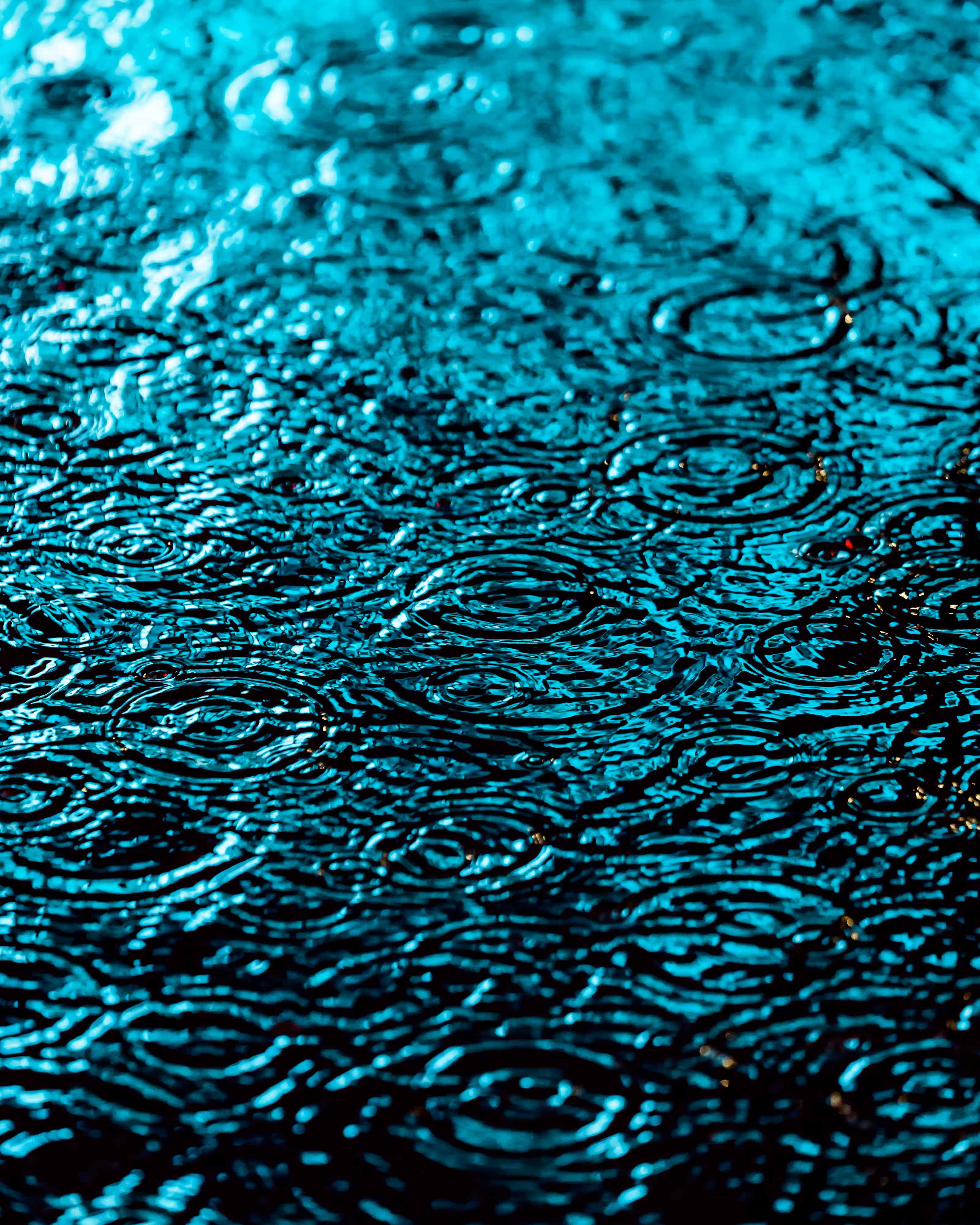 DRIP #362