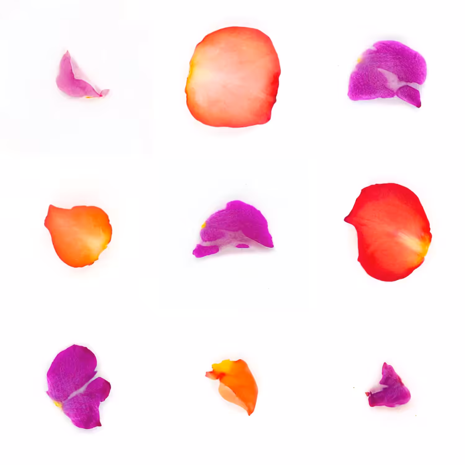 Infinite Petals 3x3#1919