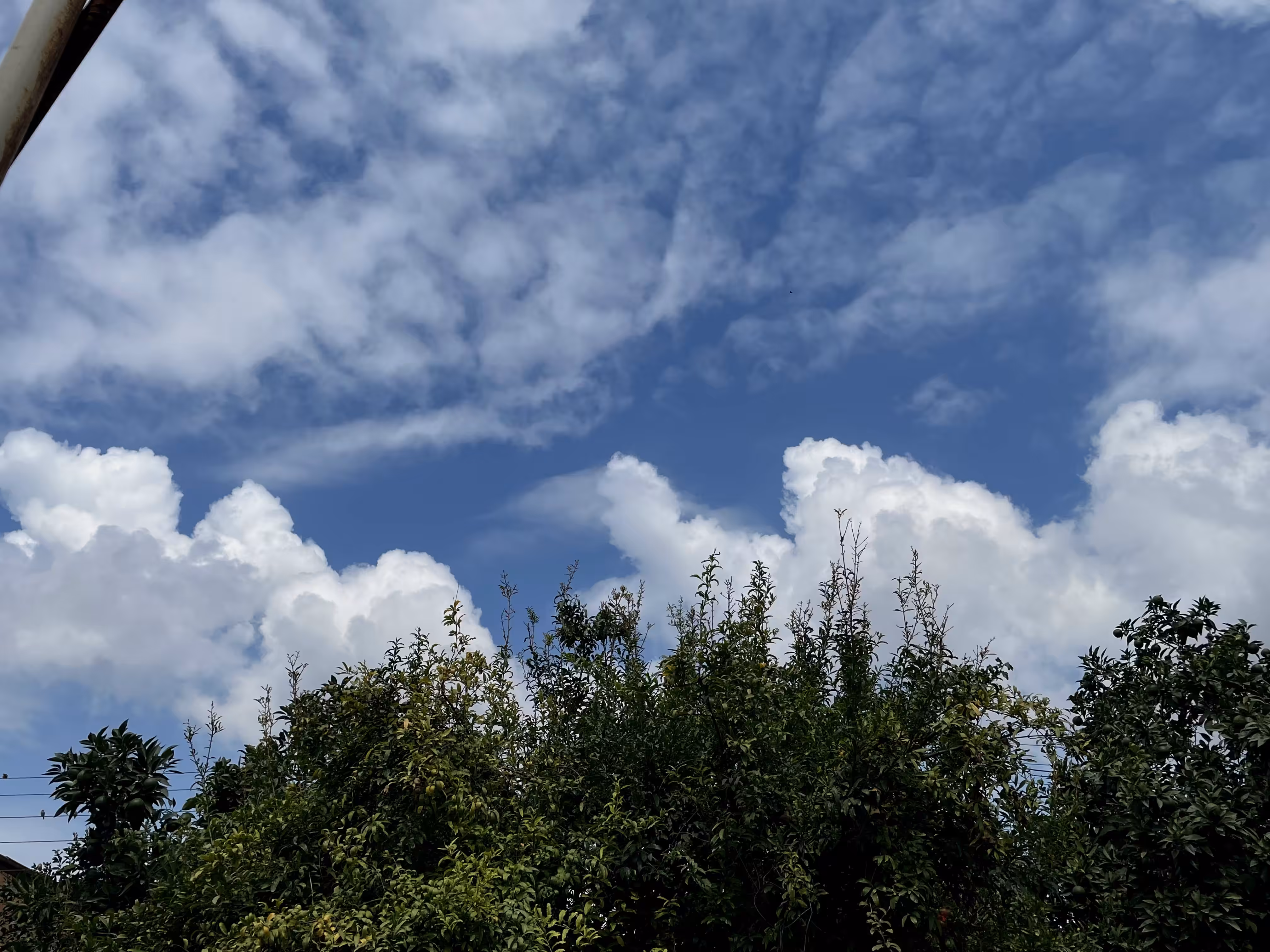 Sky